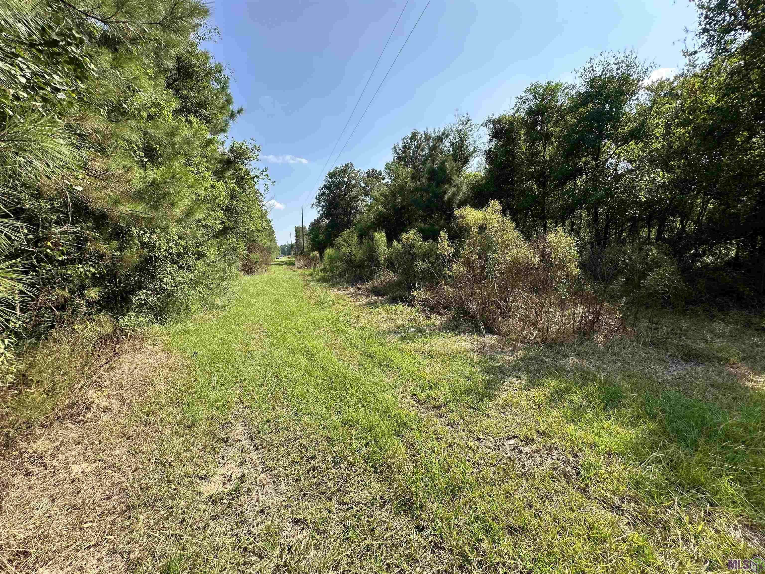 Albany, LA 70711,Lot 1A Crain Rd