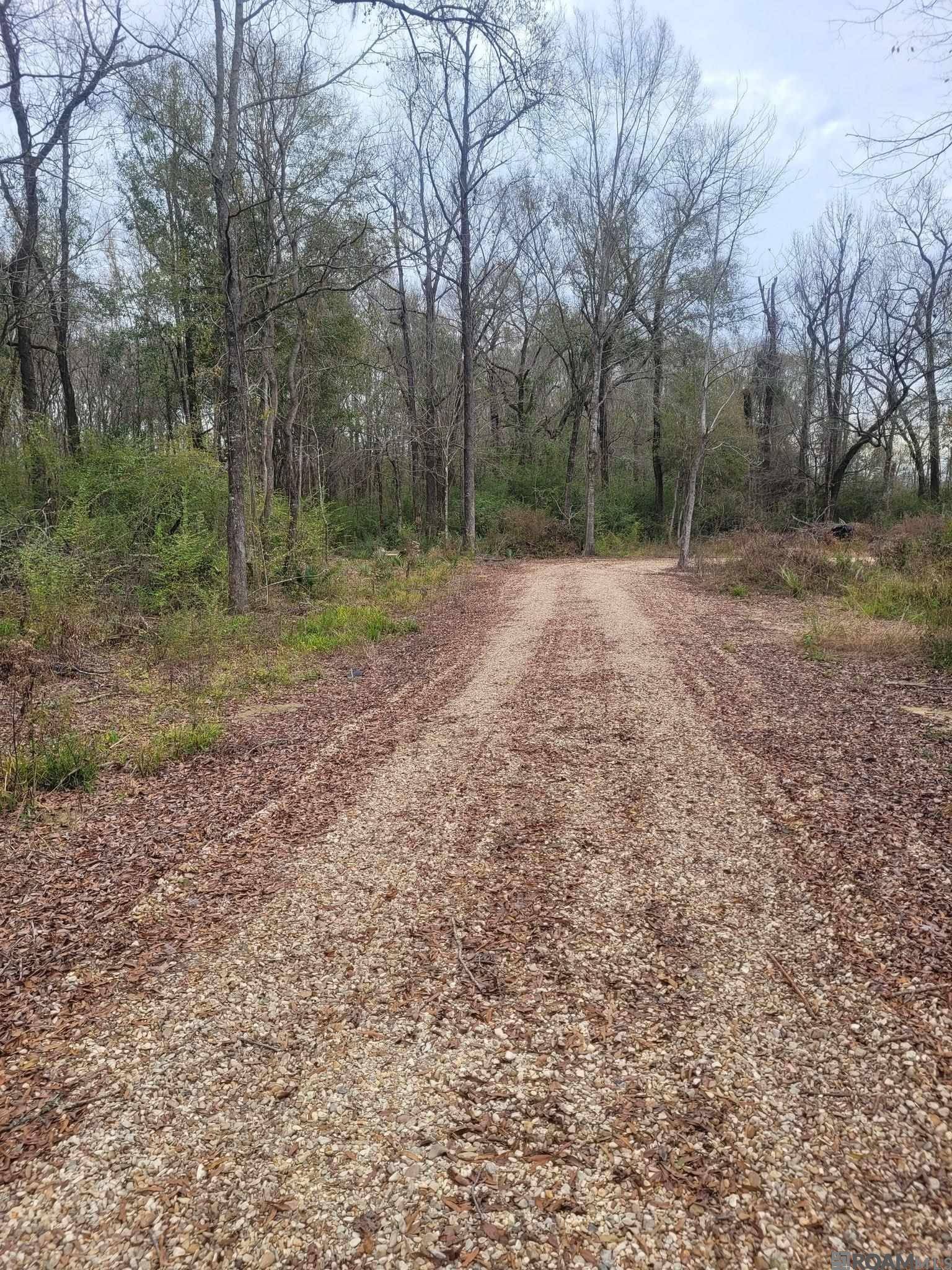 Central, LA 70791,10851 Hidden Cypress Ct