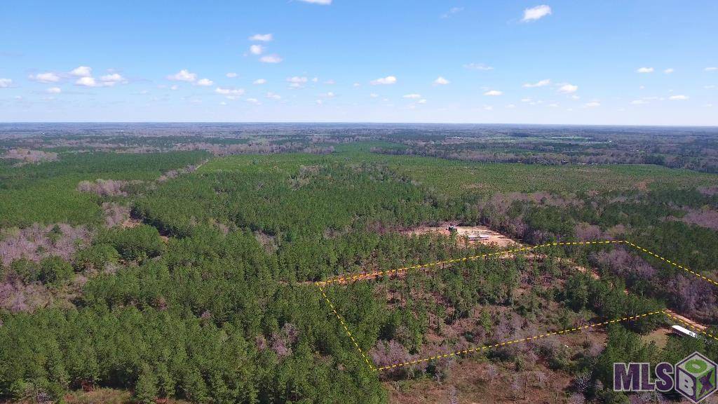 Mt Hermon, LA 70450,24000 Leora Williams Ln