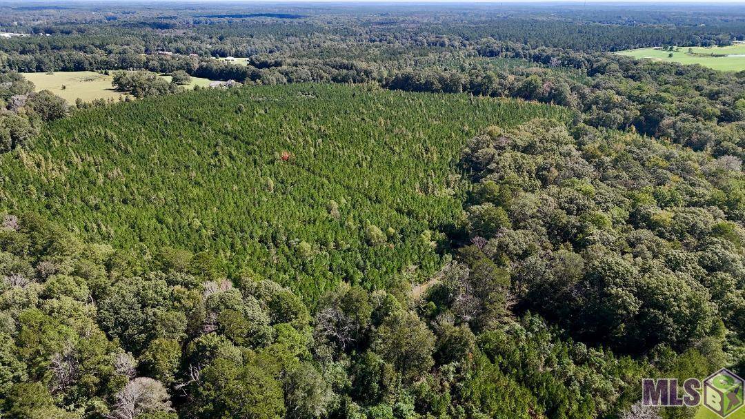 Summit, MS 39666,00 County Line Road