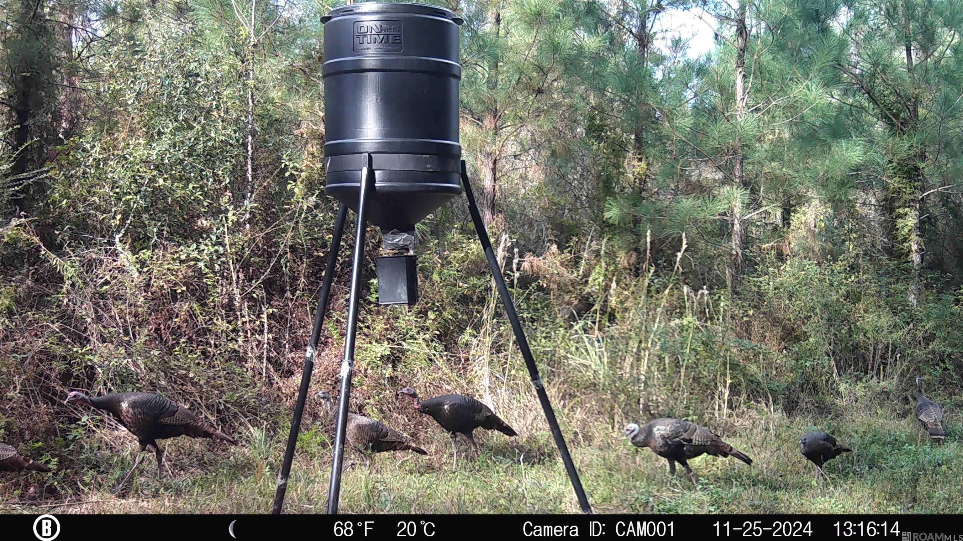 Summit, MS 39666,00 County Line Road