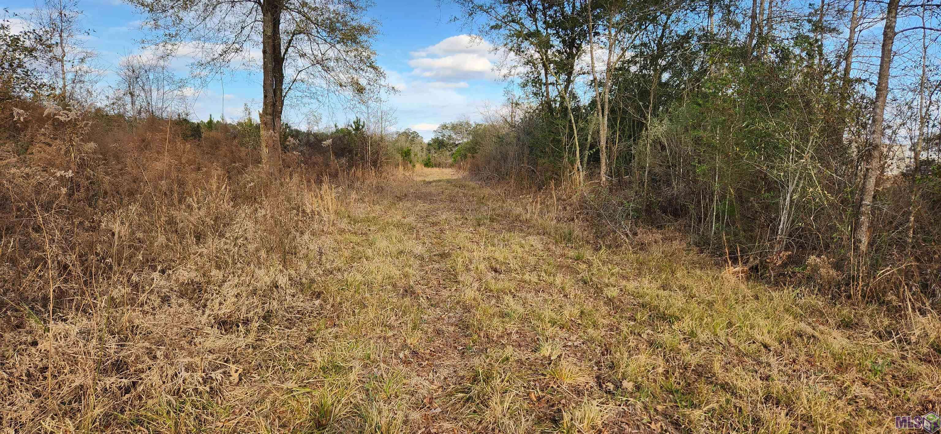 Clinton, LA 70722,TBD-Tract 1 Gilead Rd