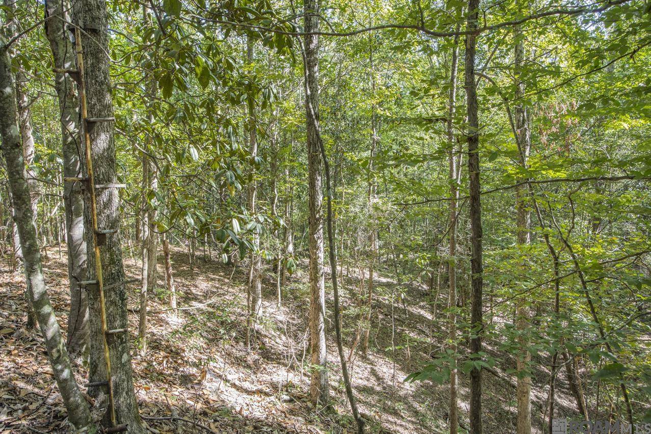 St Francisville, LA 70775,Tract A Rogers Rd