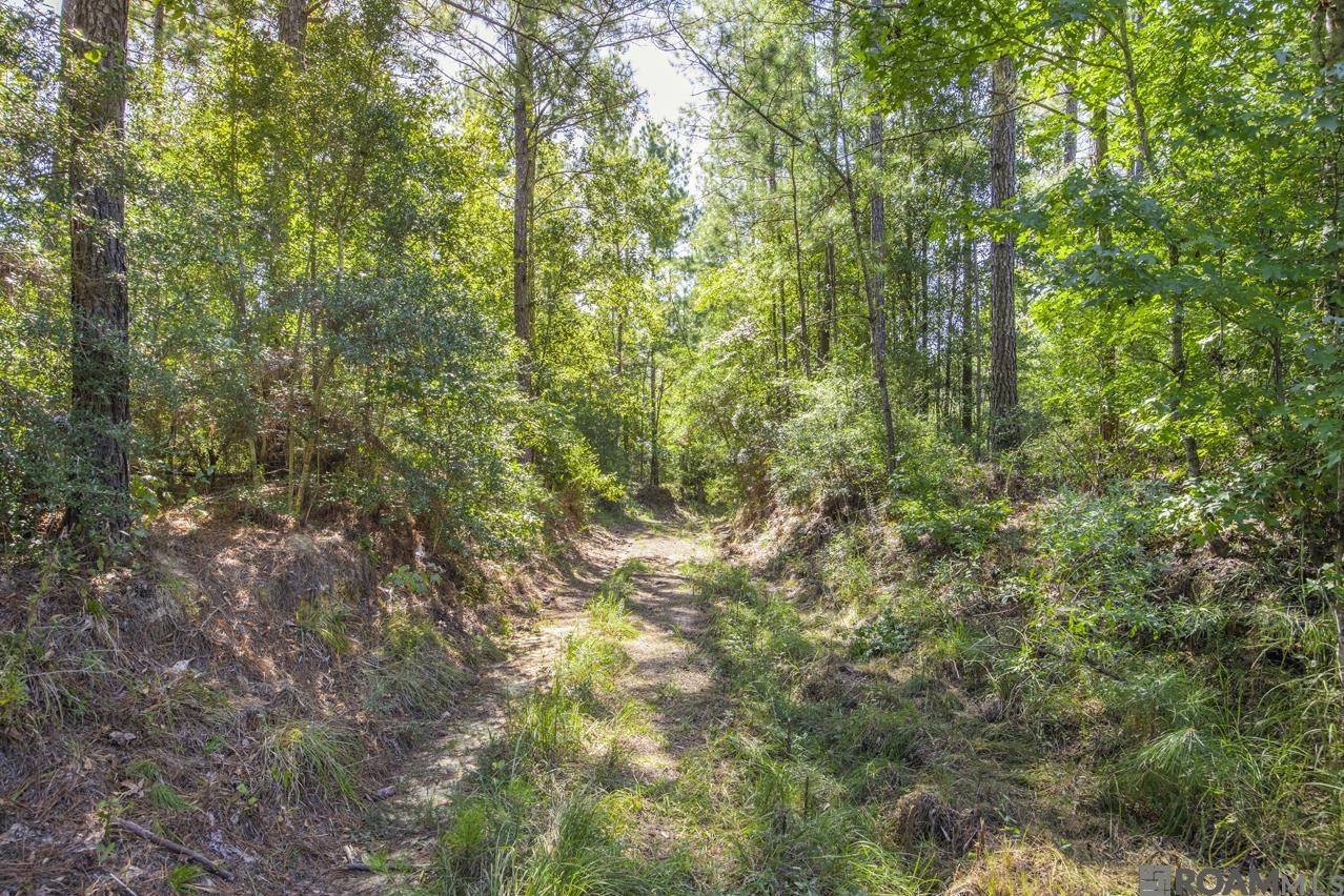 St Francisville, LA 70775,Tract C Peterson Rd