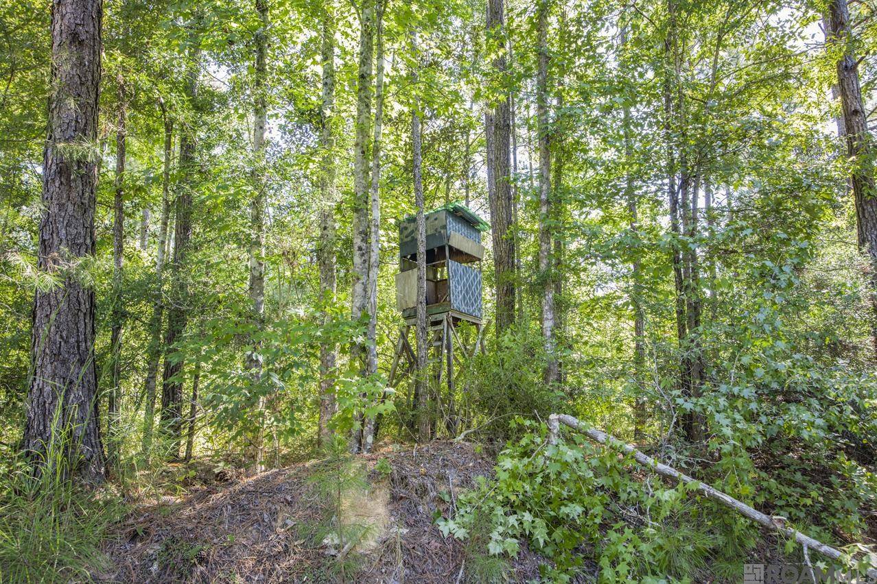 St Francisville, LA 70775,Tract C Peterson Rd