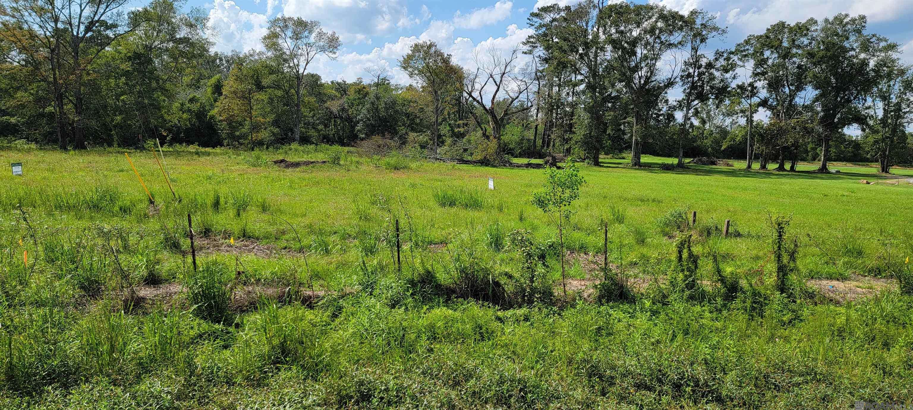 Prairieville, LA 70769,15395 La Hwy 931