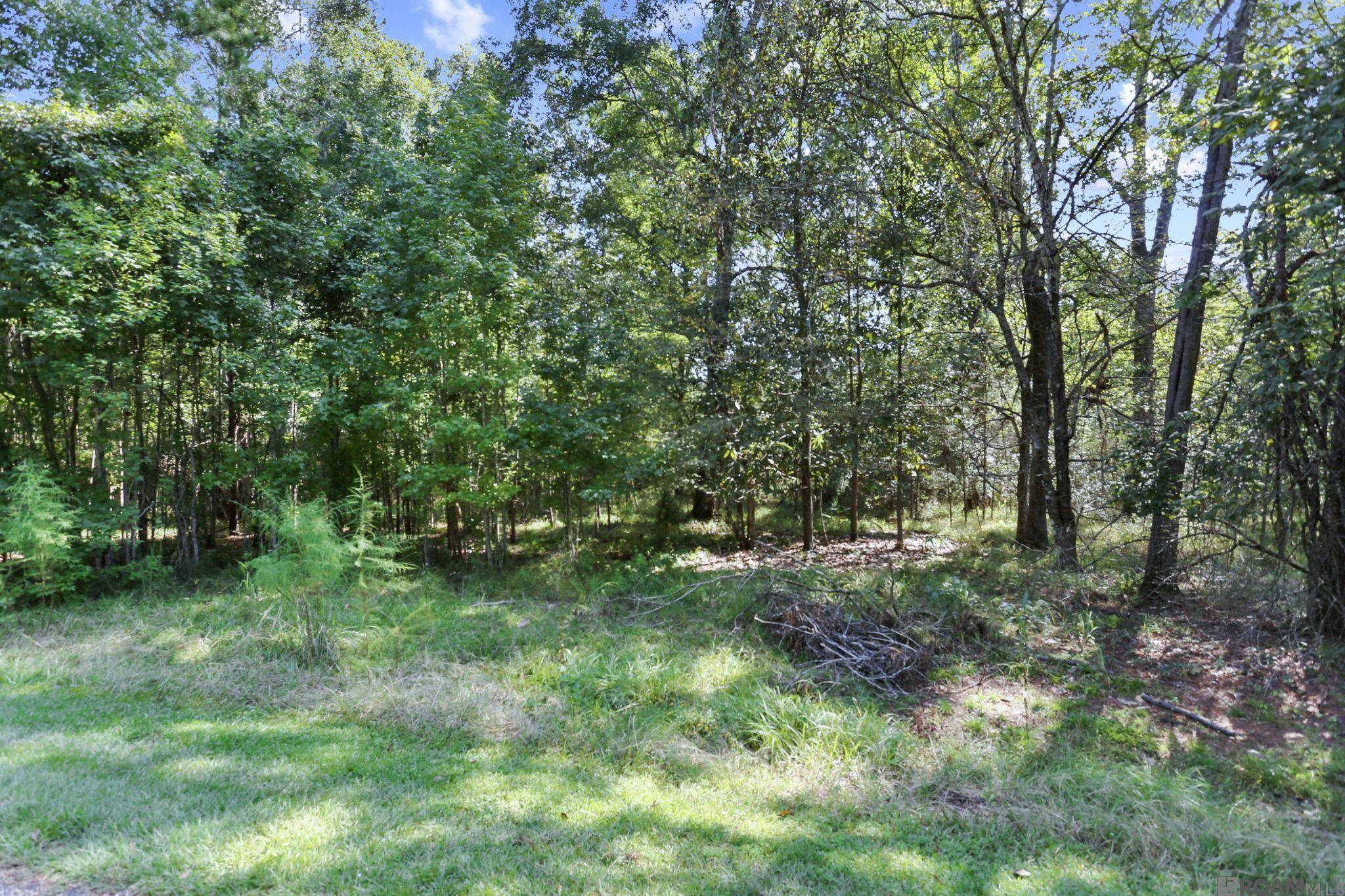 St Francisville, LA 70775,14042 Dogwood Trace