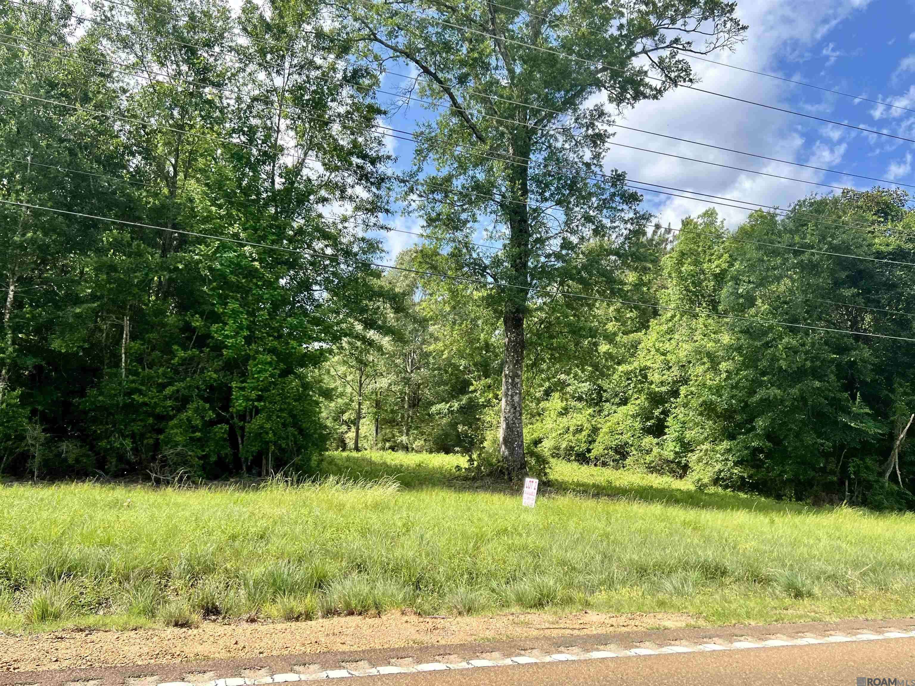 Centreville, MS 39631,LOT 2 Hwy 24