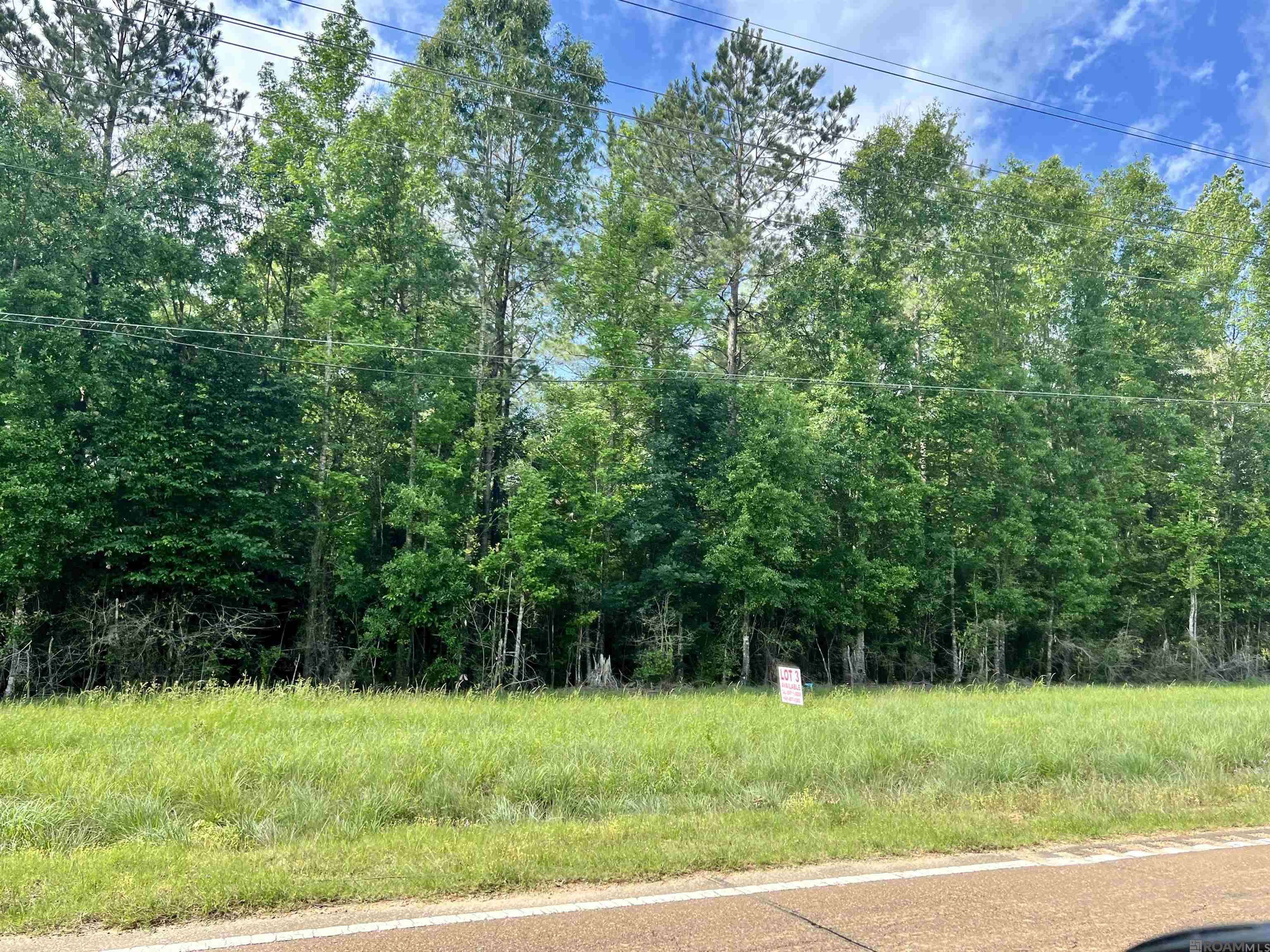 Centreville, MS 39631,LOT 2 Hwy 24