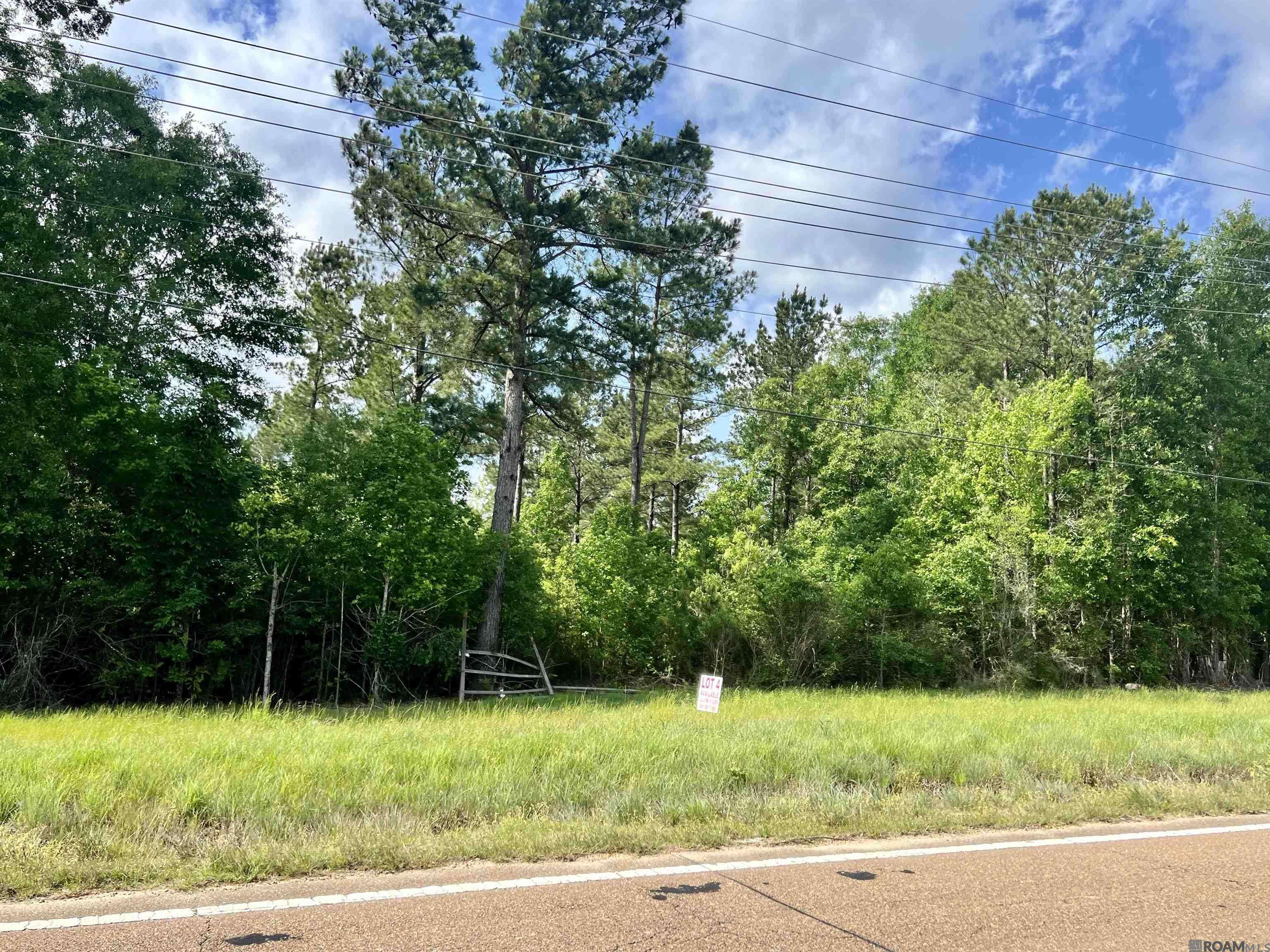 Centreville, MS 39631,LOT 2 Hwy 24