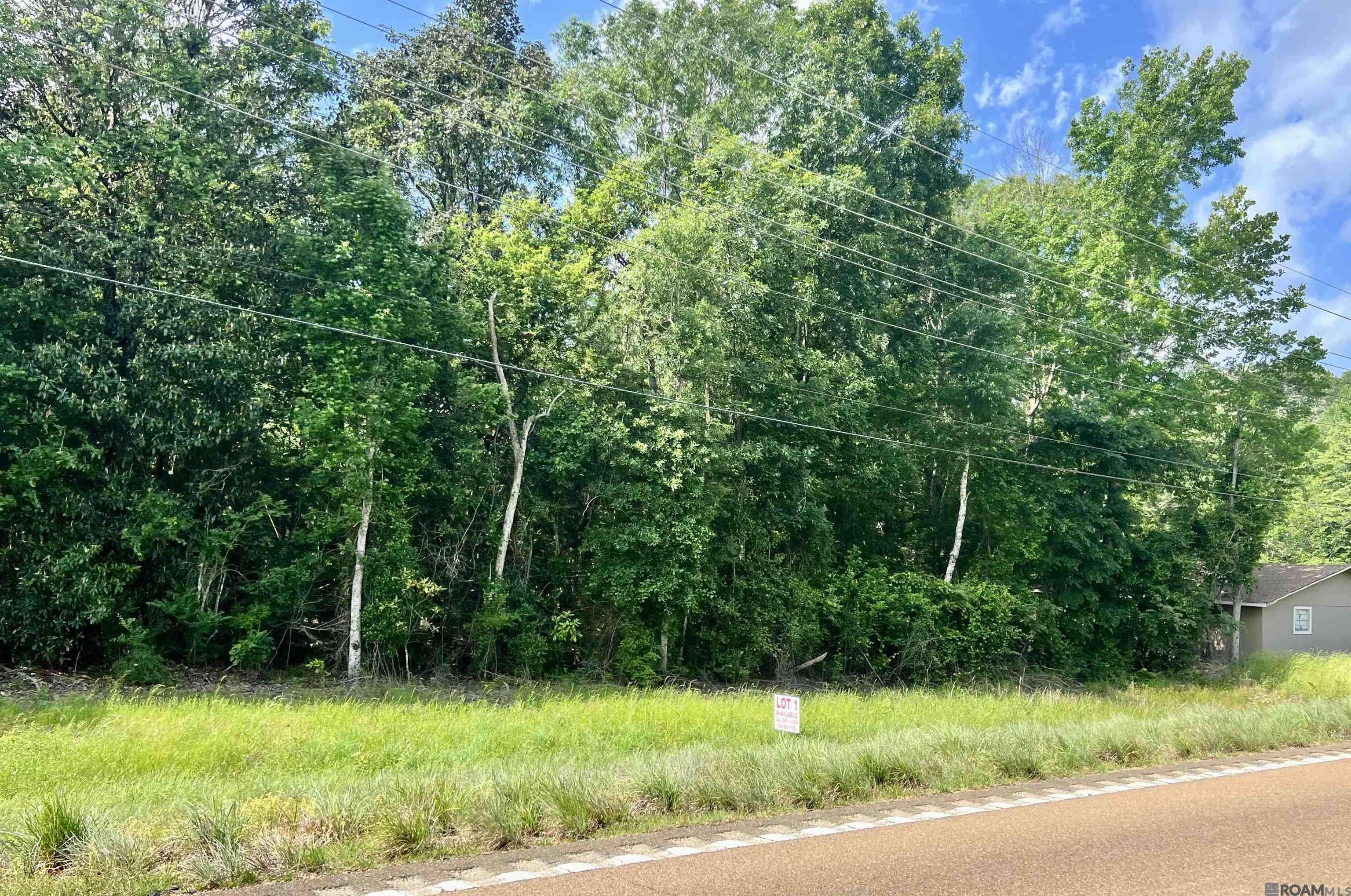 Centreville, MS 39631,LOT 4 Hwy 24