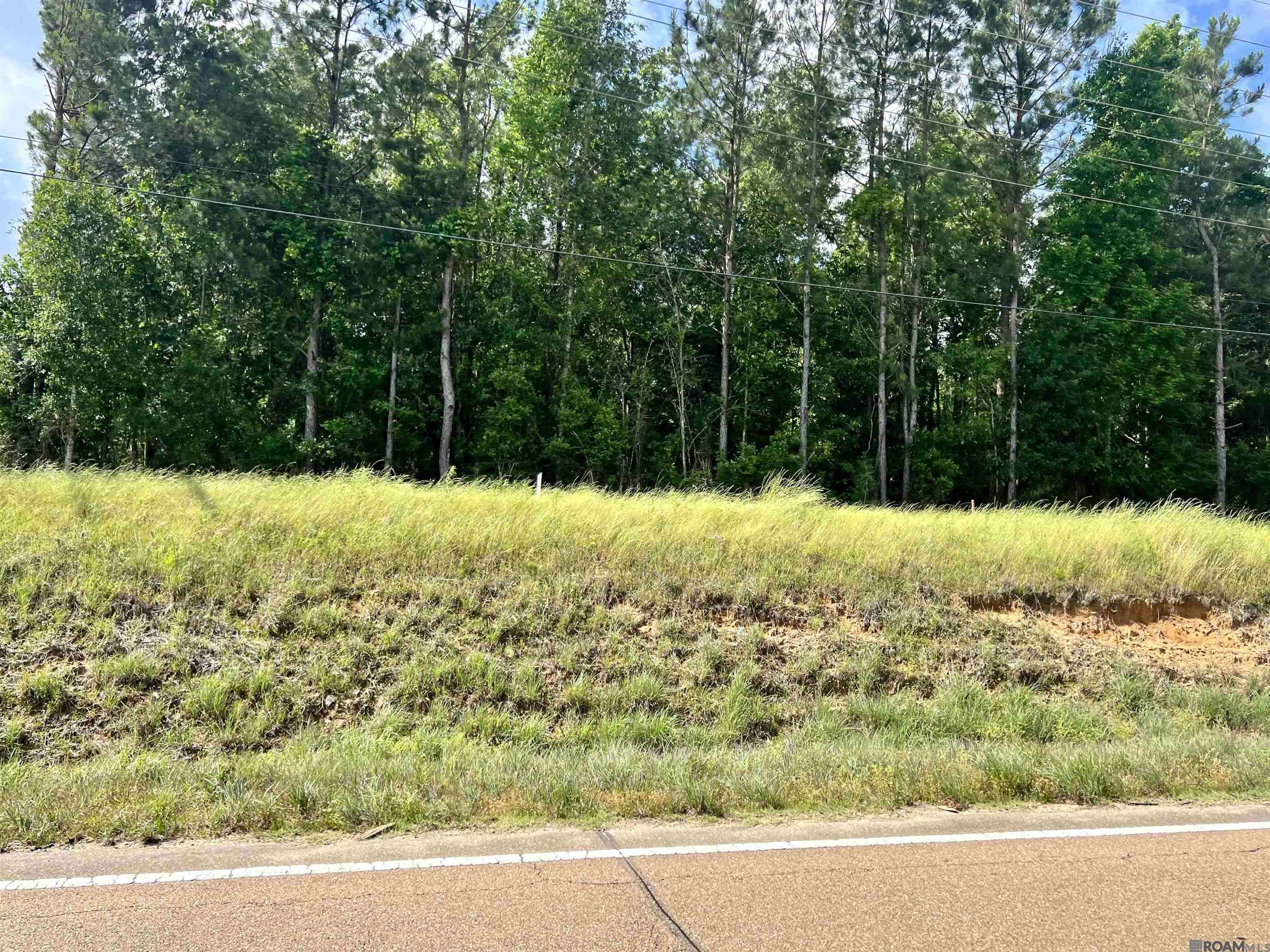 Centreville, MS 39631,LOT 5 Hwy 24