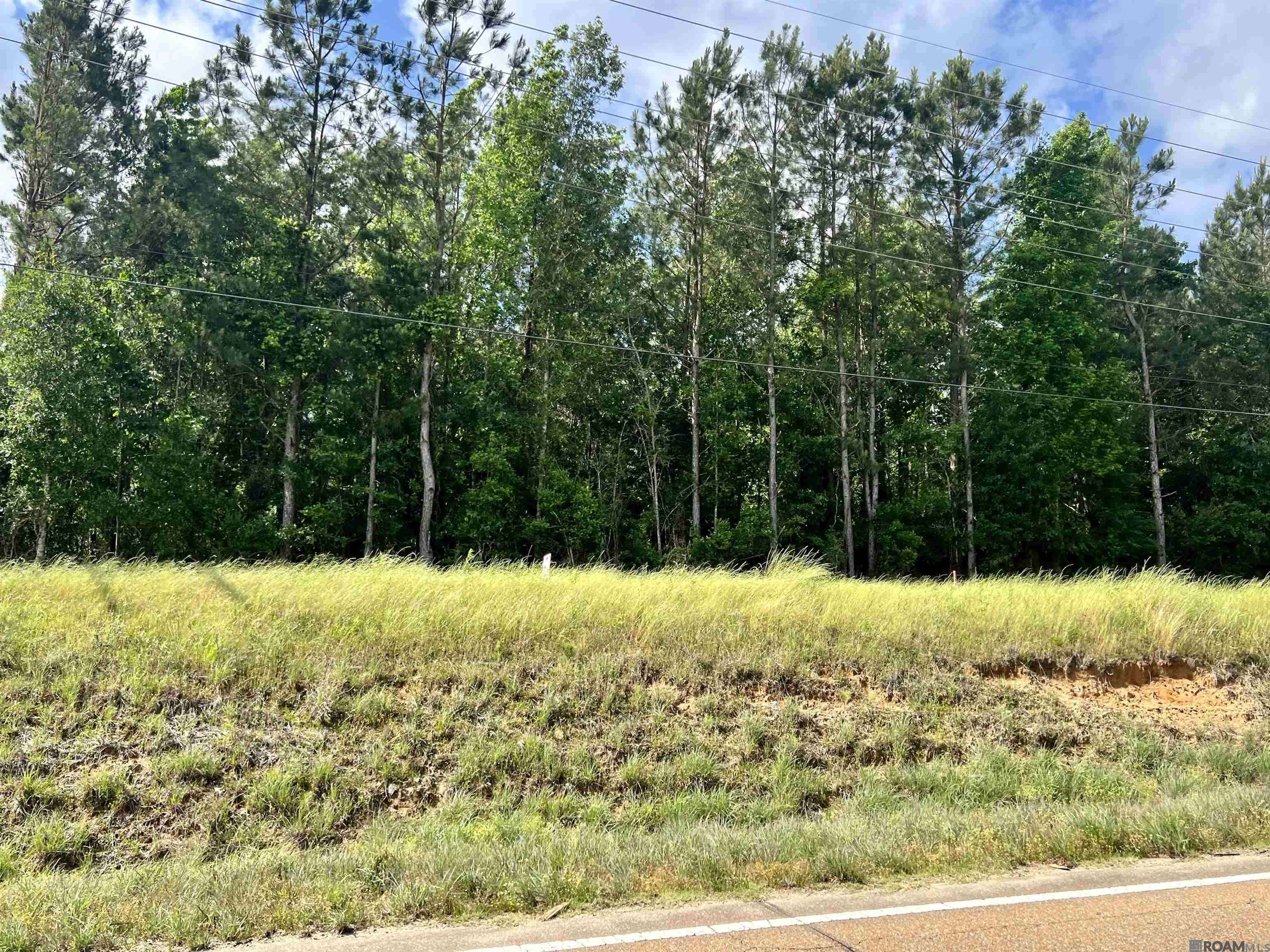 Centreville, MS 39631,LOT 7 Hwy 24