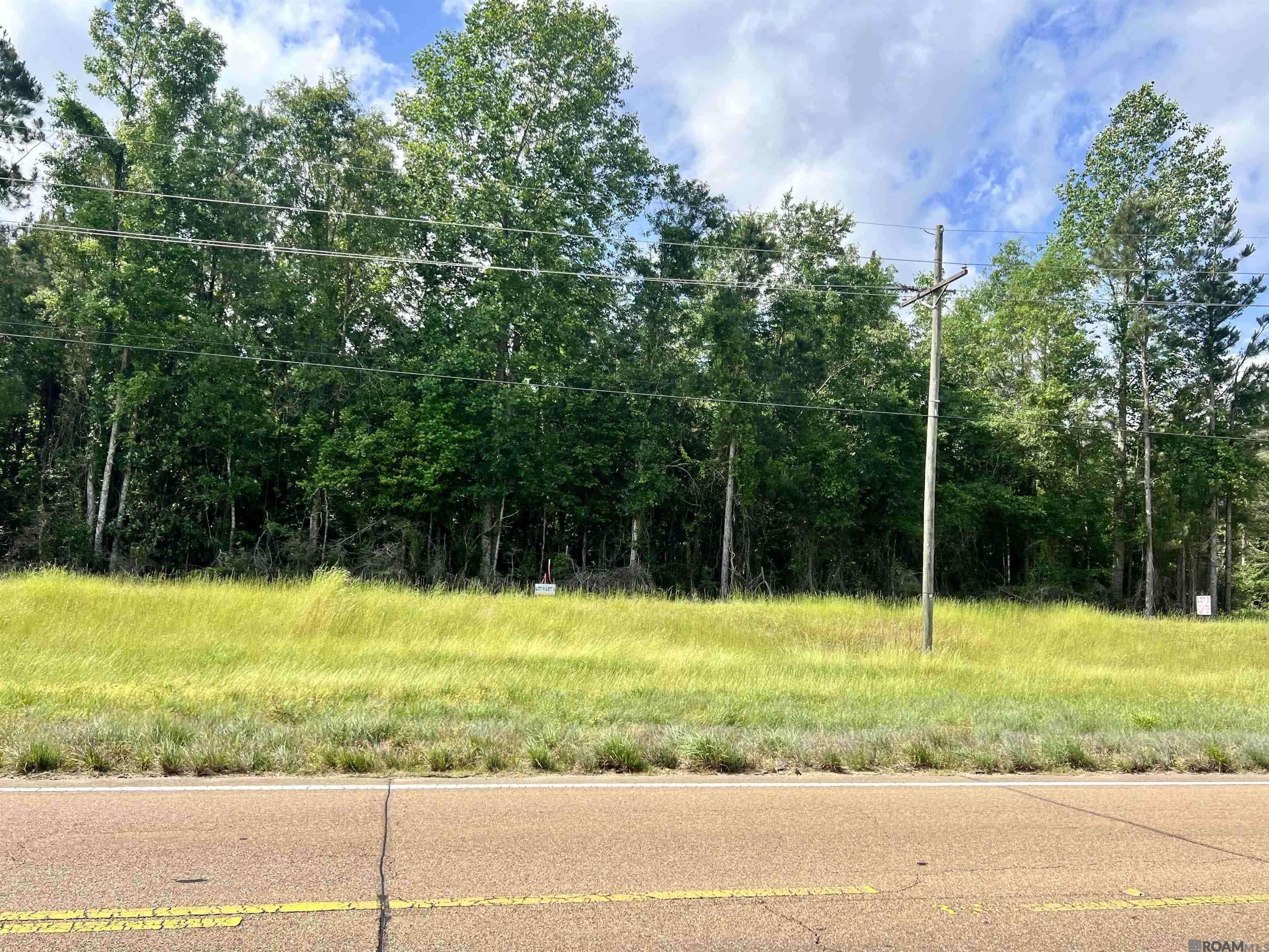 Centreville, MS 39631,LOT 7 Hwy 24