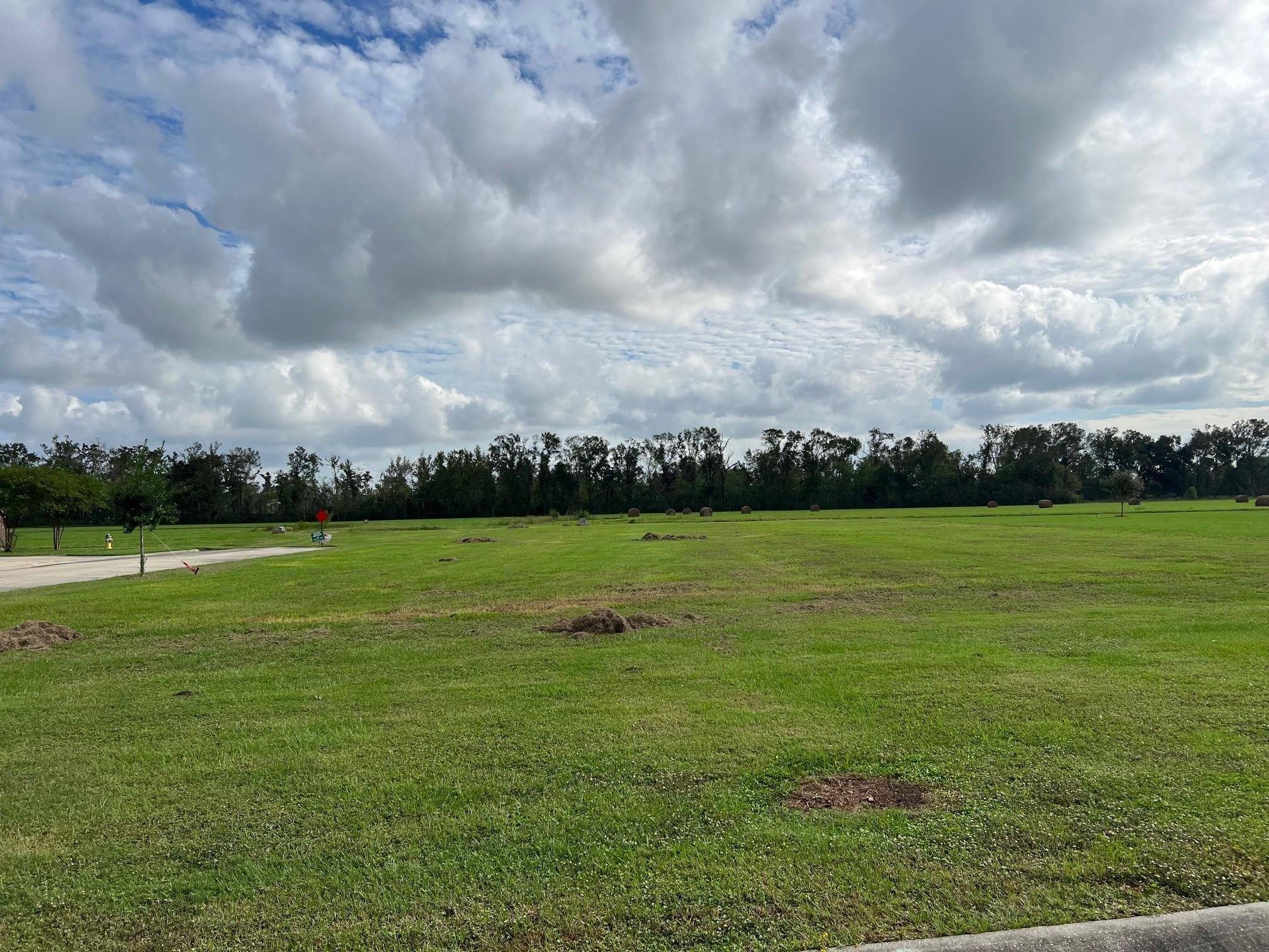 Gray, LA 70359,258 Rue Richard