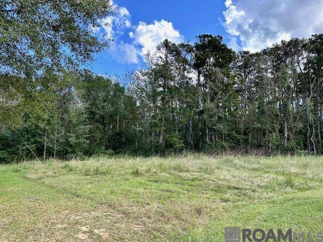 Livingston, LA 70754,19348 Plantation Trace Dr