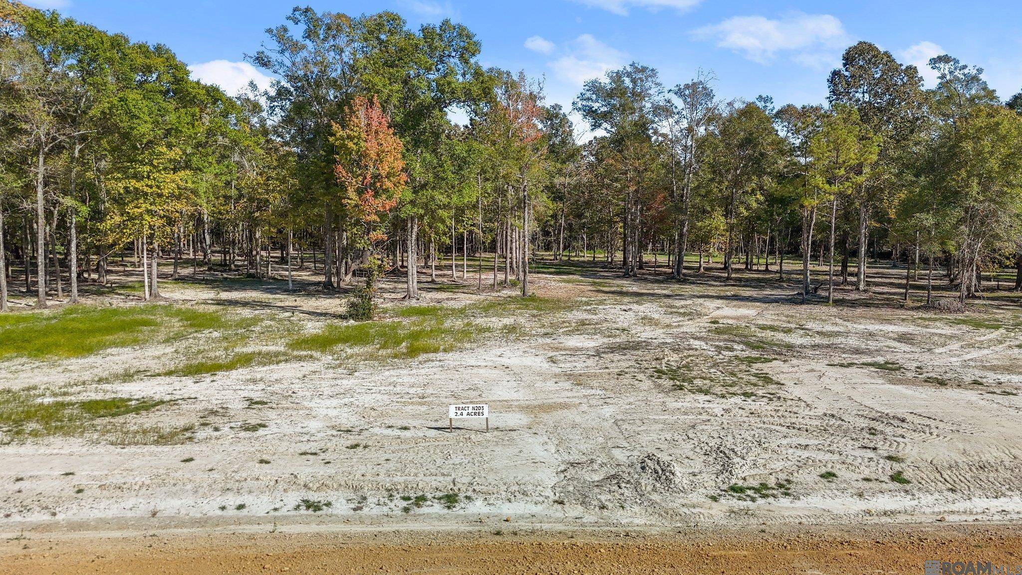 Zachary, LA 70791,N-2-D-3 Little Azalea Drive
