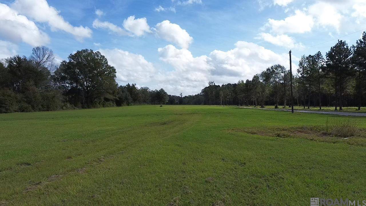 Denham Springs, LA 70706,Tract A La Hwy 16