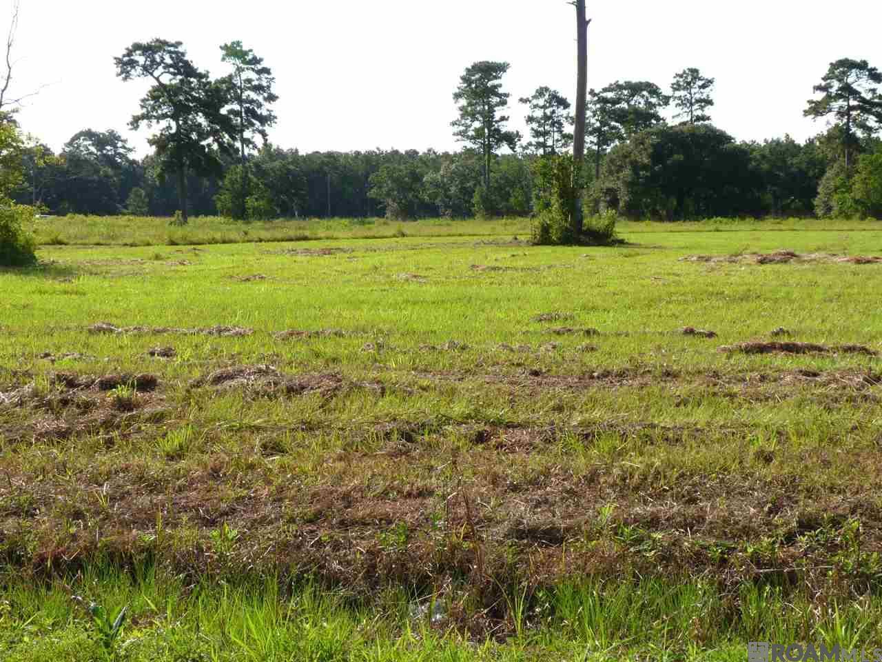 Killian, LA 70462,Lot 8 Lynda