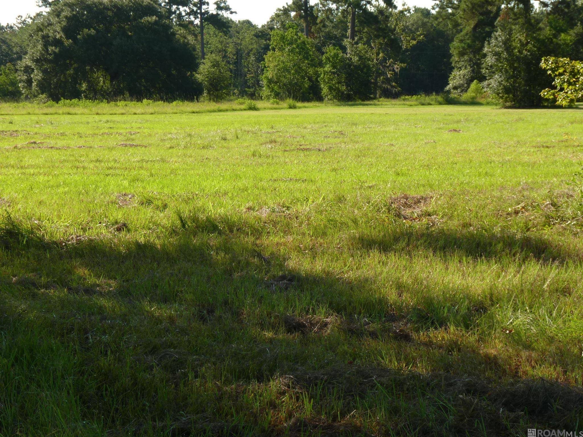 Killian, LA 70462,Lot 7 Lynda