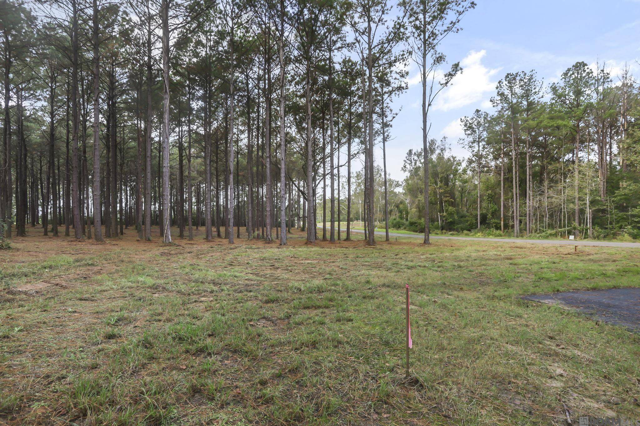 St Francisville, LA 70775,80114 Rosemary Lane