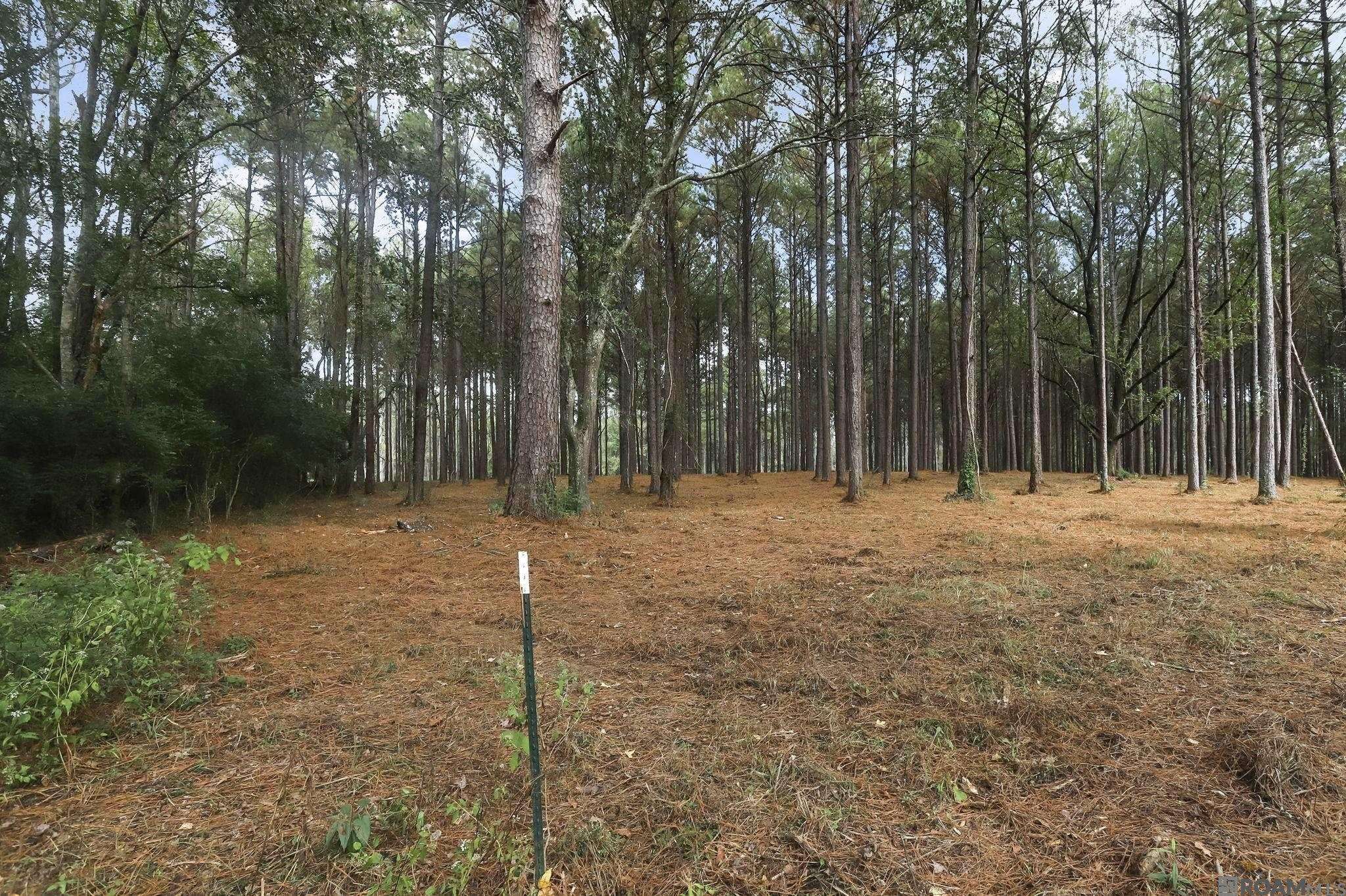 St Francisville, LA 70775,80114 Rosemary Lane