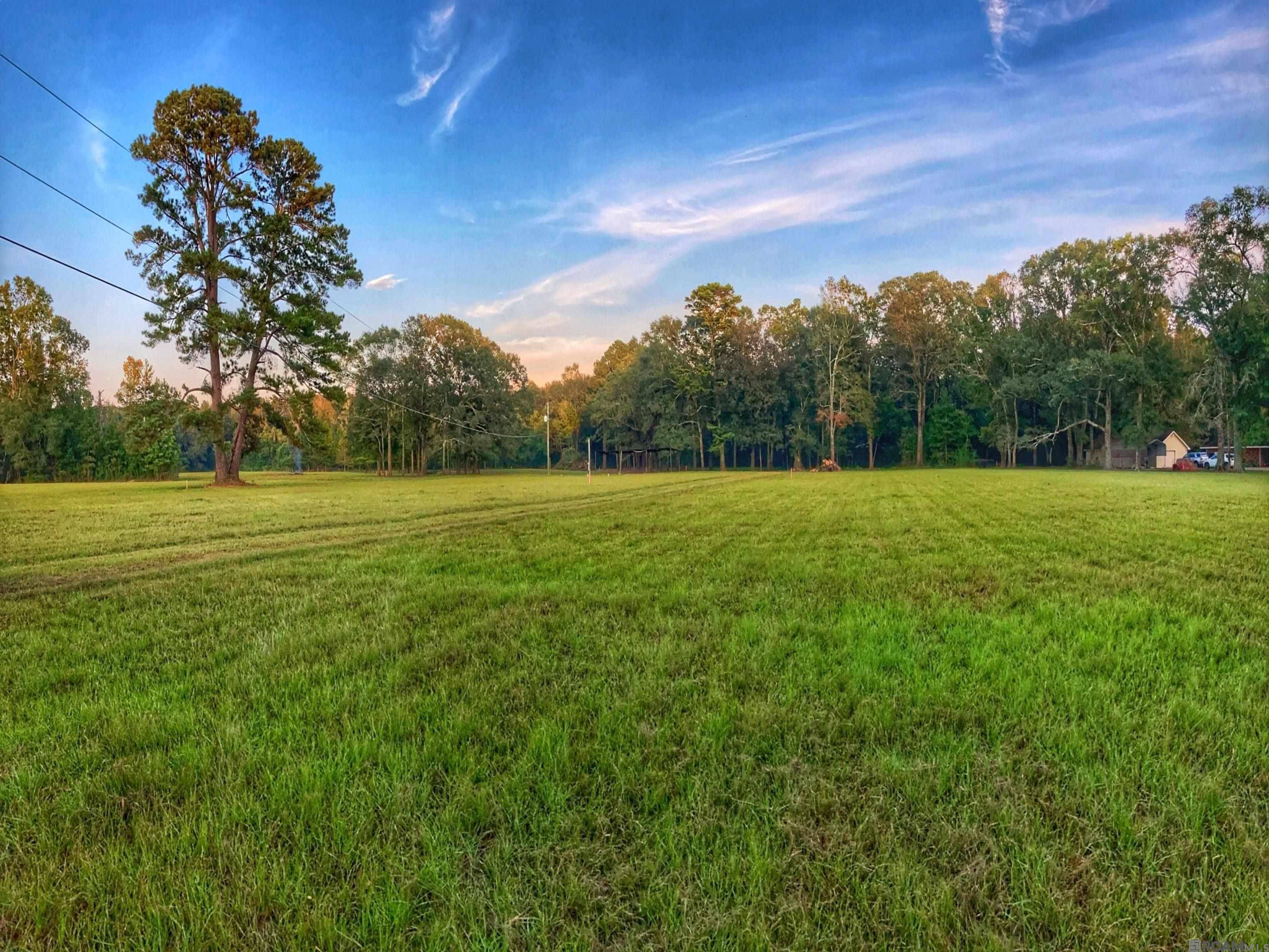 Zachary, LA 70791,Lot C-5 Chaney Rd