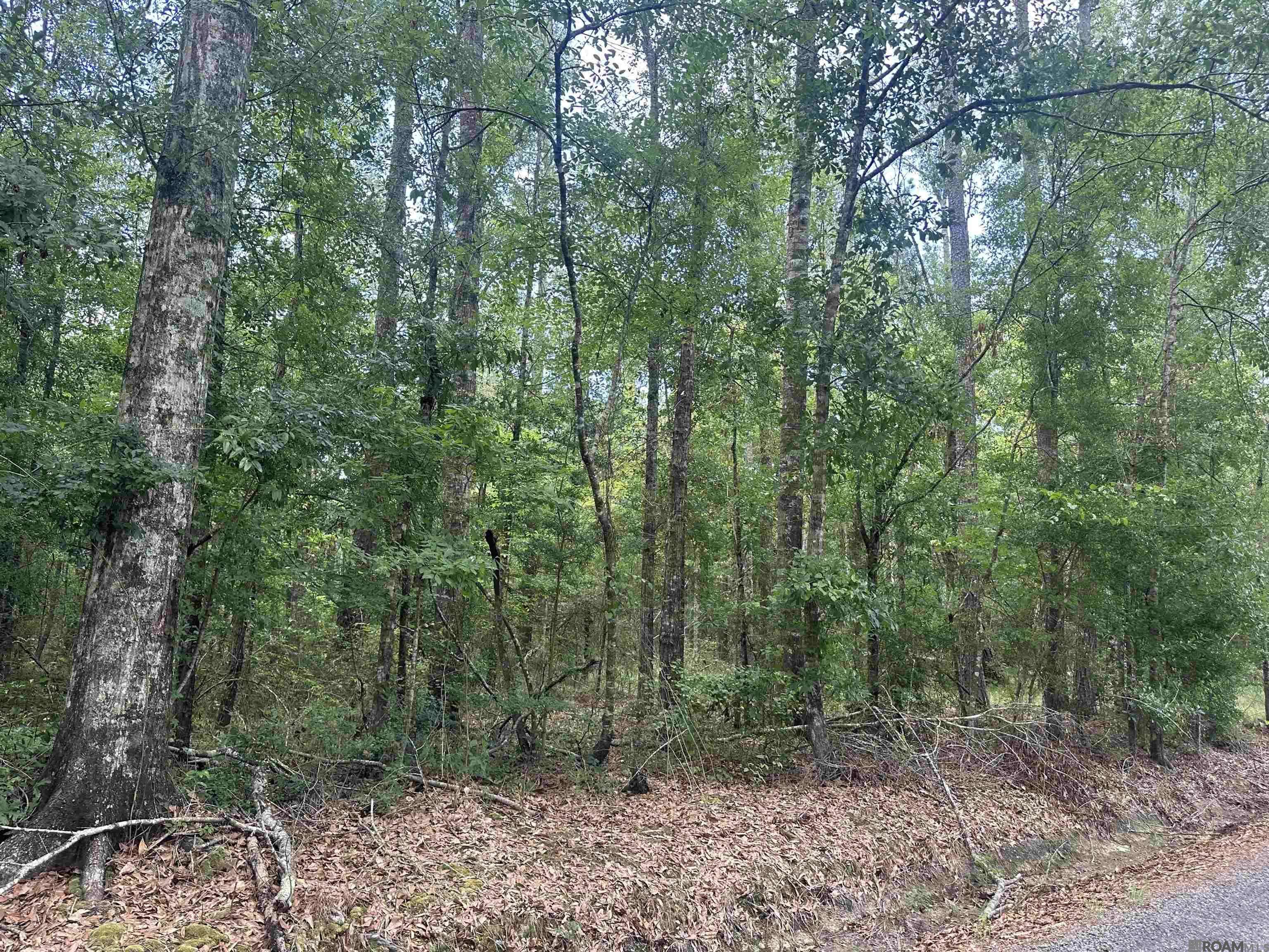 Robert, LA 70455,23468 Heritage Acres Ln