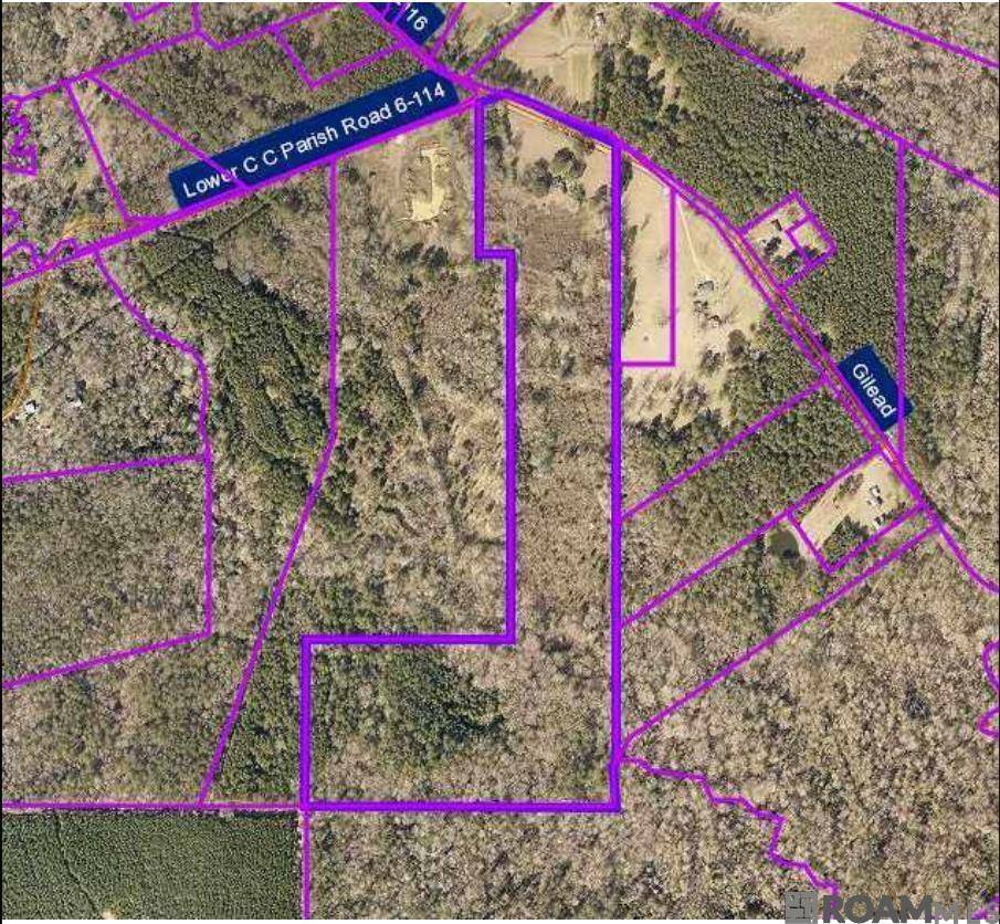 Clinton, LA 70722,5076 Gilead Rd