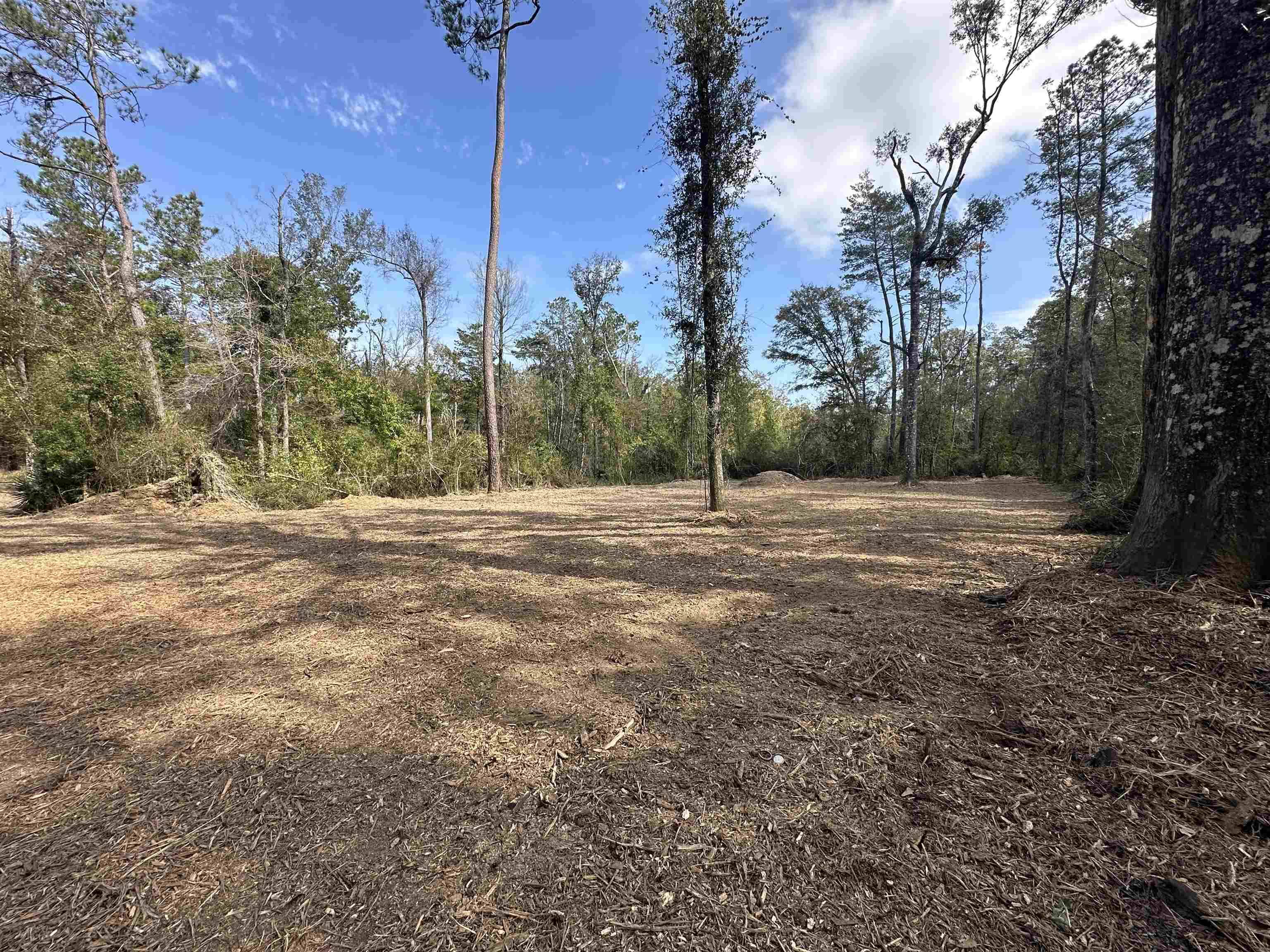 Springfield, LA 70462,5.12 Acres White Oak Ln