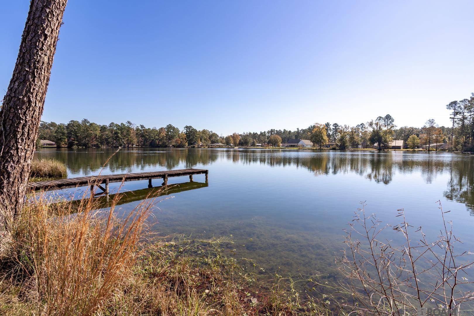 Holden, LA 70744,26802 George White Rd
