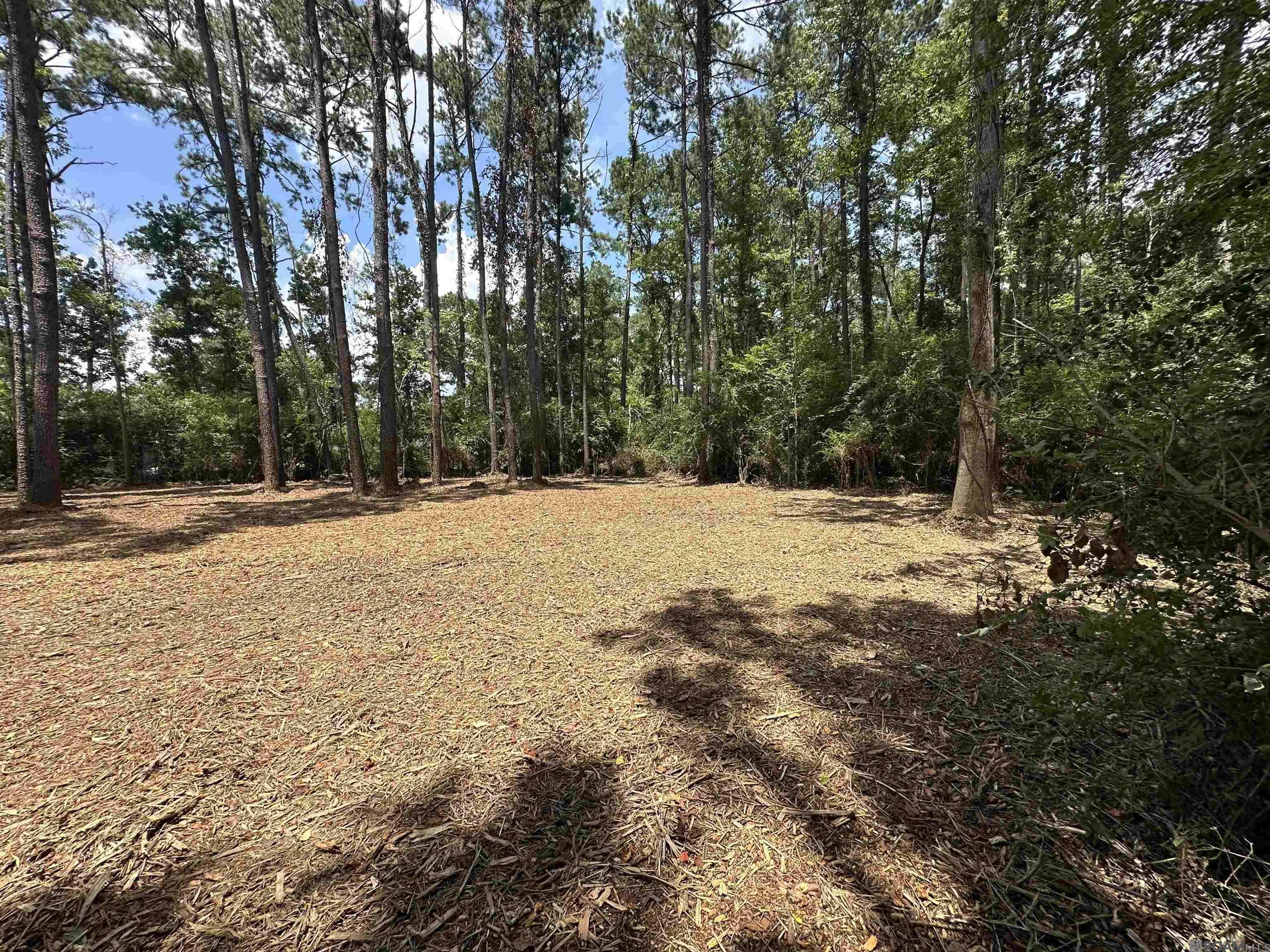 Denham Springs, LA 70726,2 ACRES Norma Dr