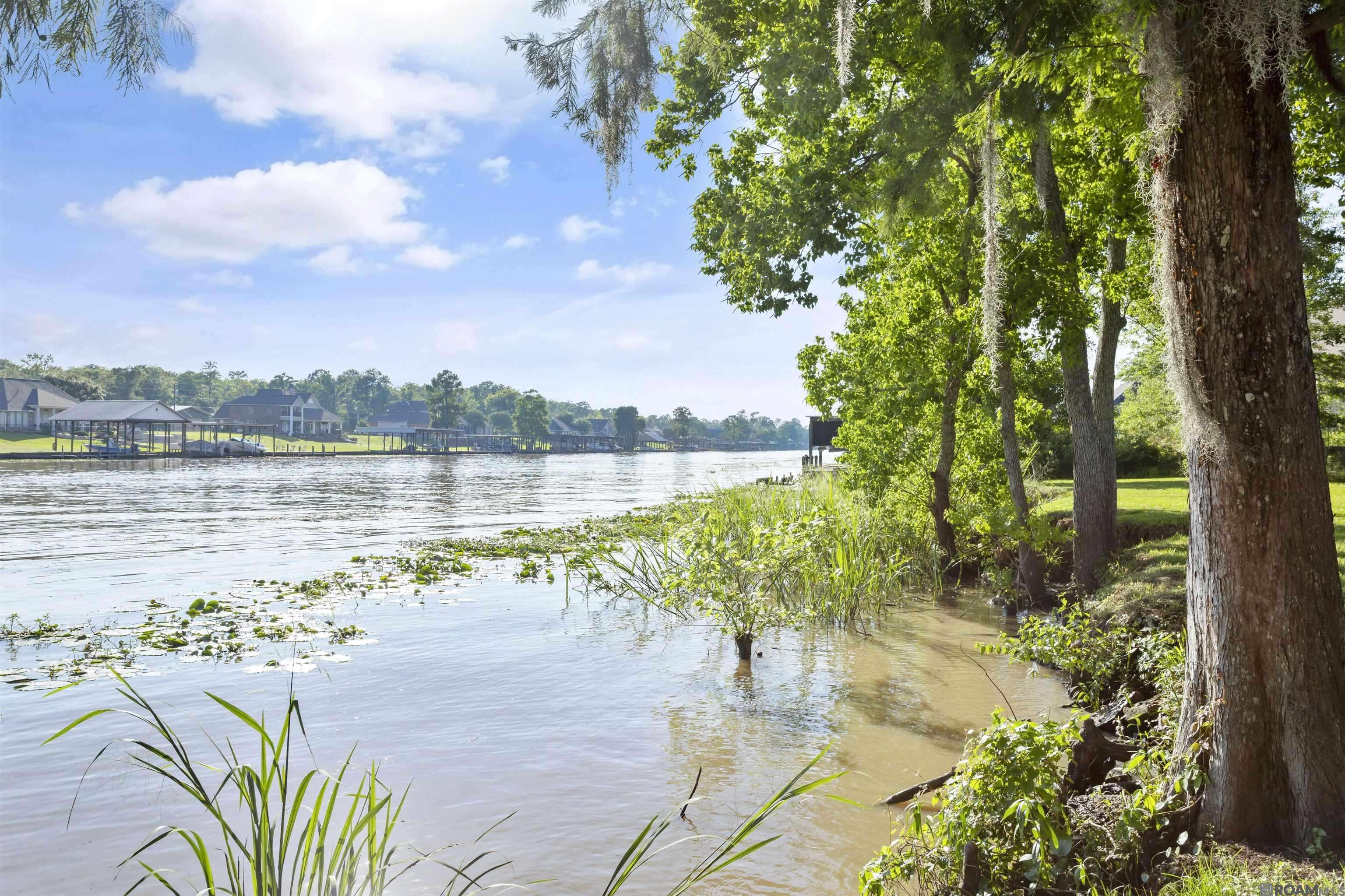 St Amant, LA 70774,Lot 8 Diversion Canal Rd