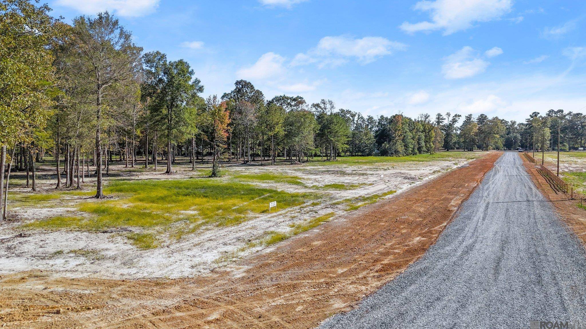 Zachary, LA 70791,N-2-D-4 Little Azalea Drive