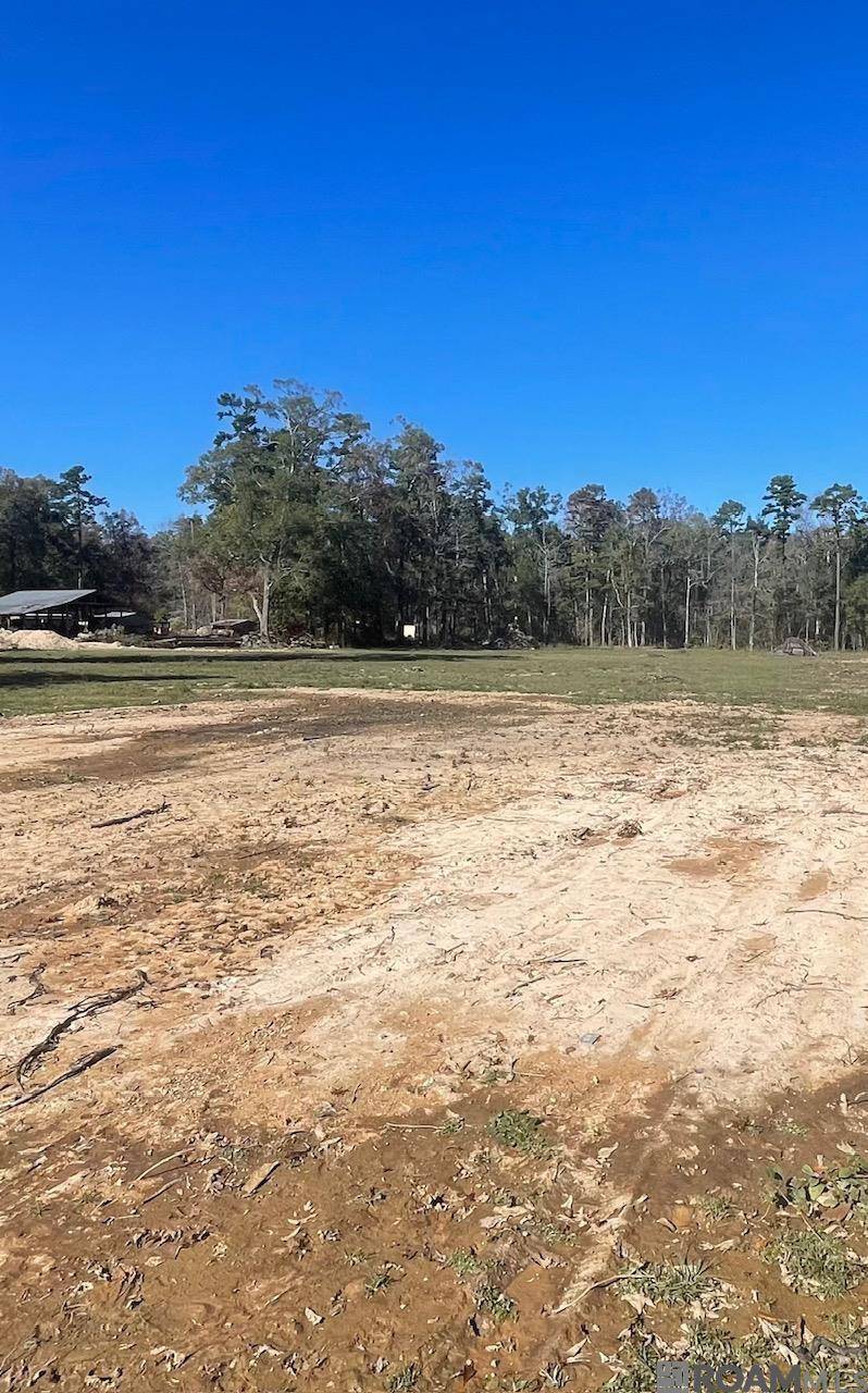 Denham Springs, LA 70726,Y-4 Arnold Rd