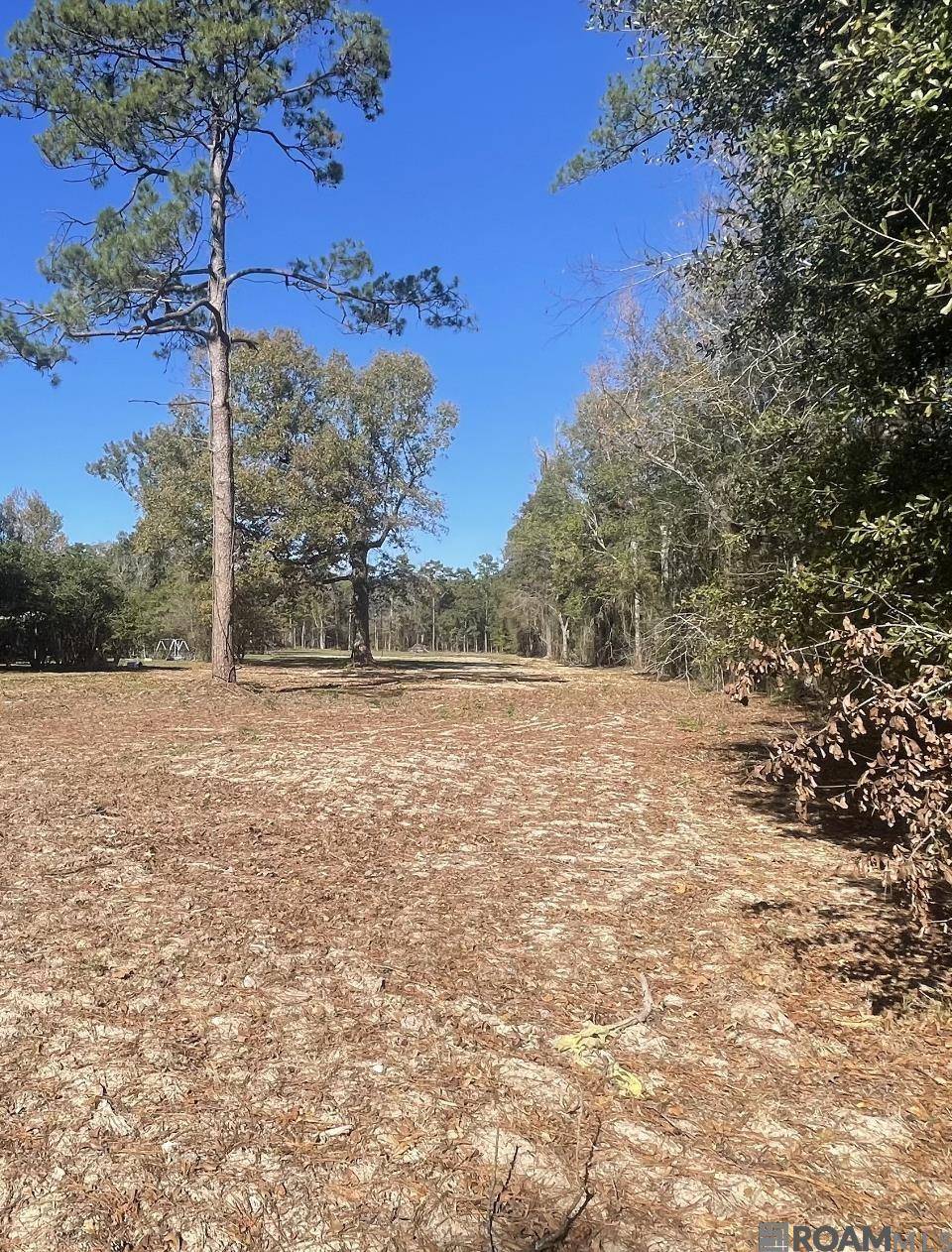 Denham Springs, LA 70726,Y-5 Arnold Rd