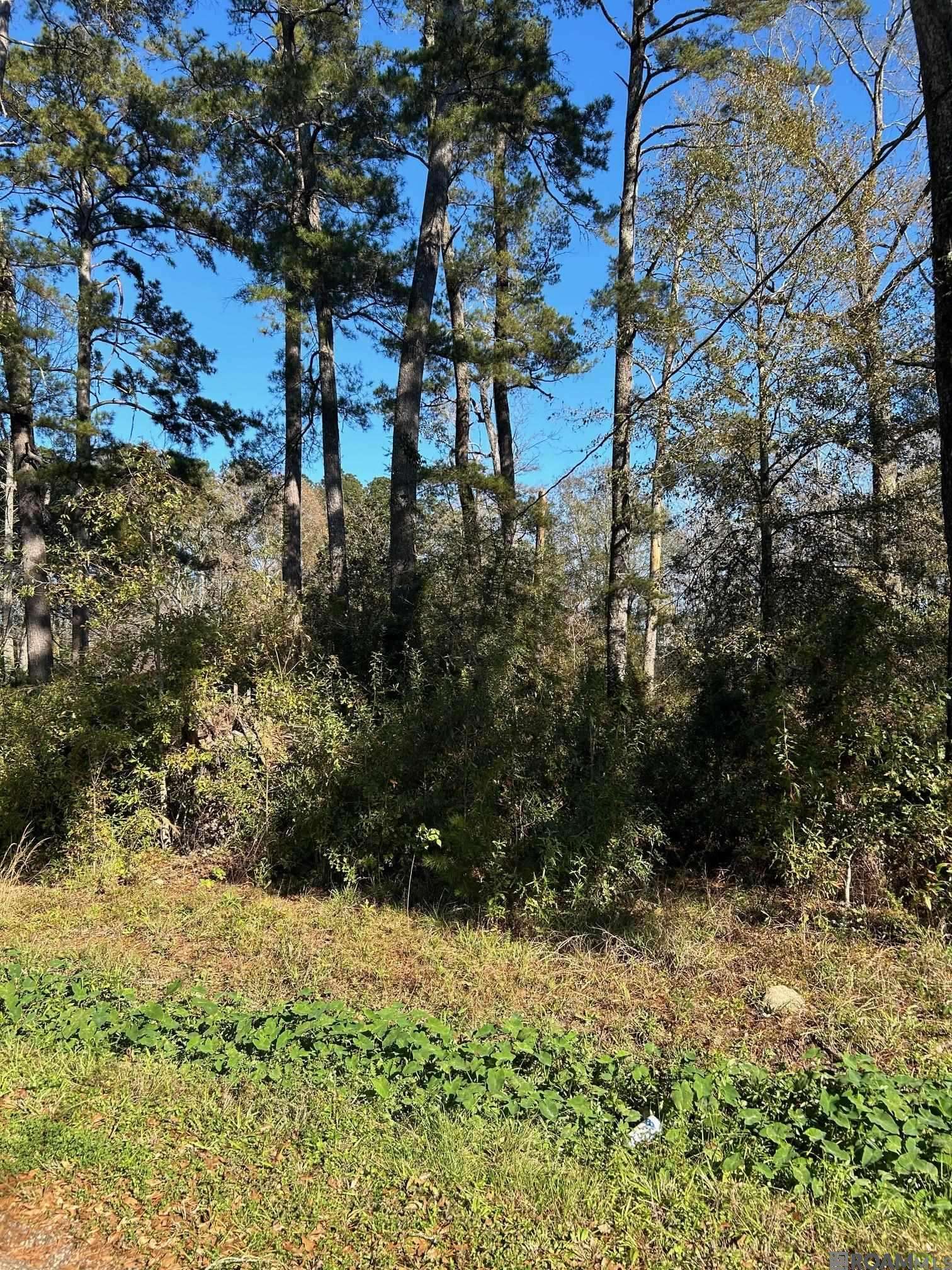 Walker, LA 70785,Lot 15 Magnolia Dr