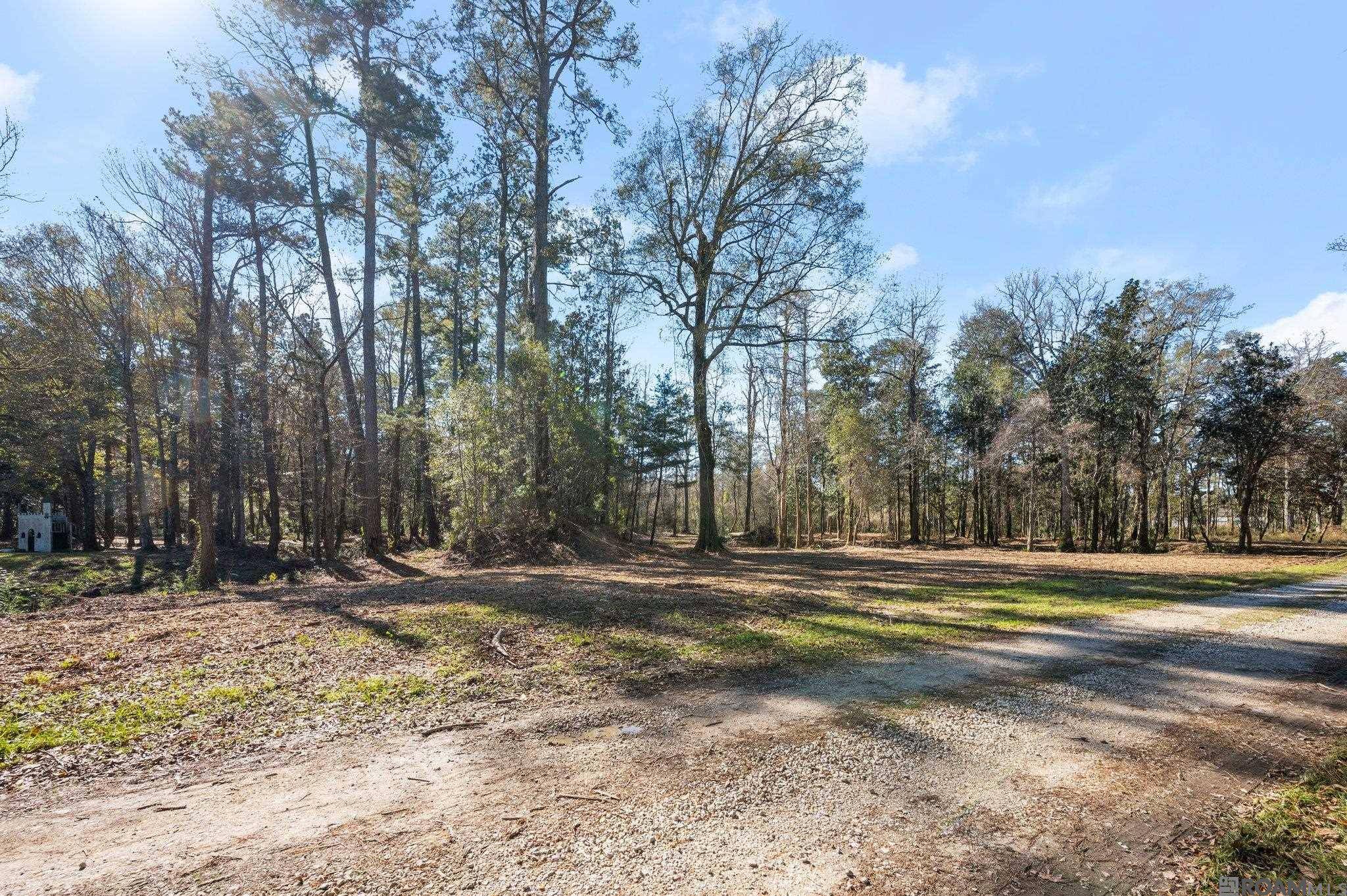 Walker, LA 70785,12234 Whitetail Ln