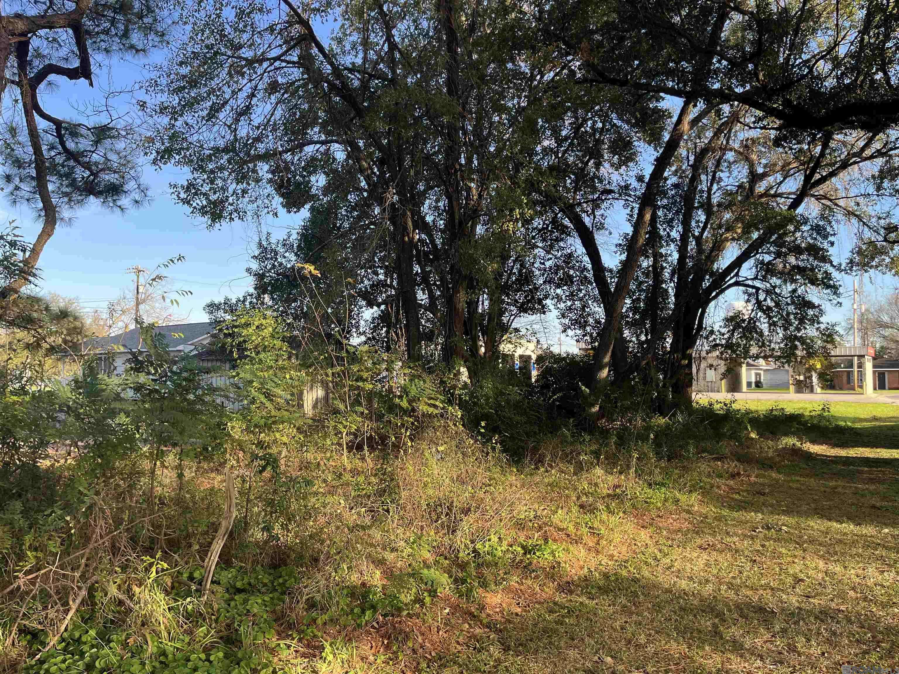 Plaquemine, LA 70764,TBD Lot 4 Supple St