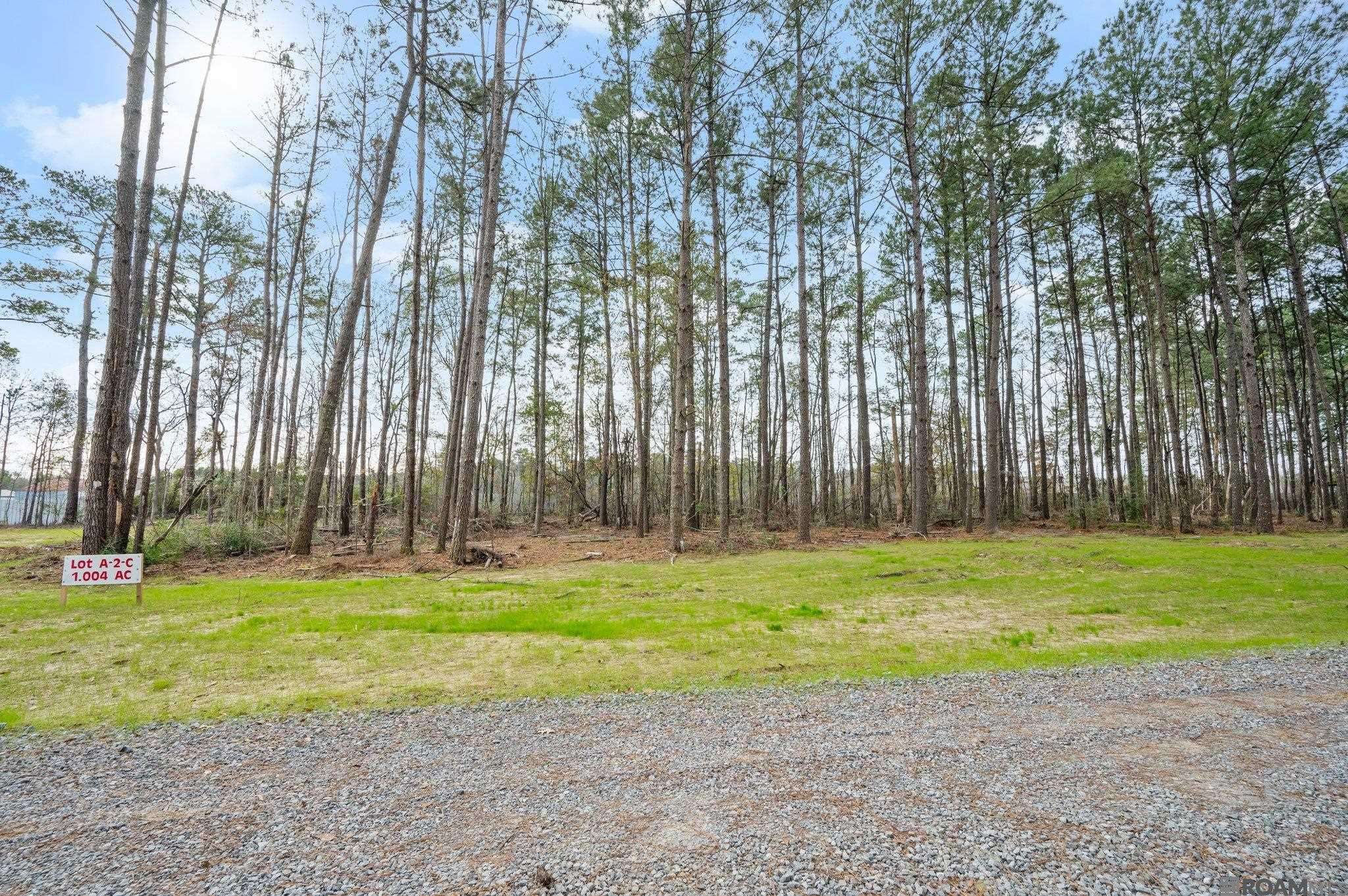 Greenwell Springs, LA 70739,A-2-C Donna Hancock Lane