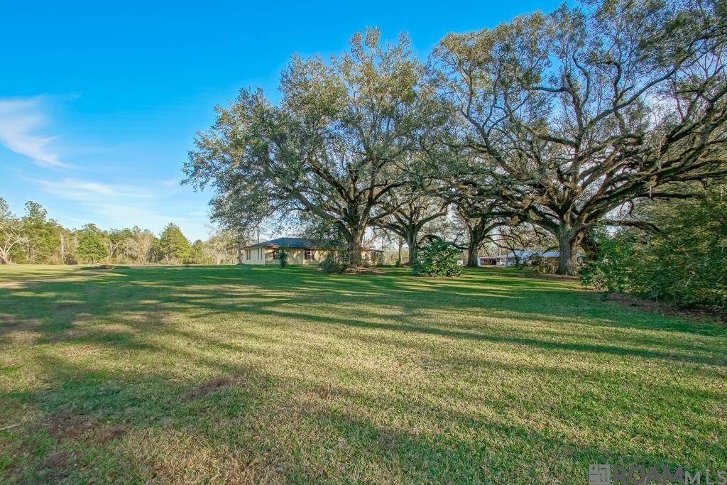 Independence, LA 70433,15061 Catfish Farm Rd