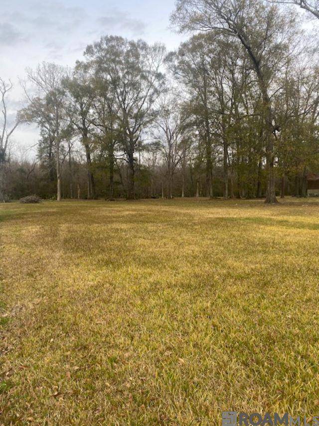 Greenwell Springs, LA 70739,TBD Alford Dr