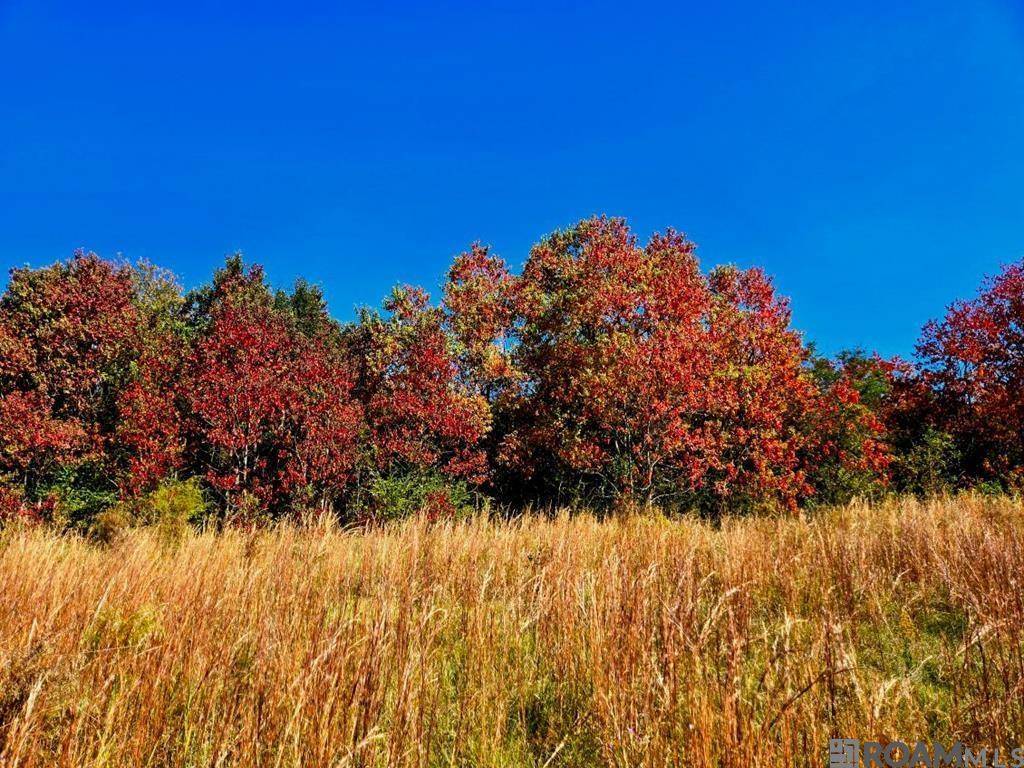 Carson, MS 39427,00 J L Robbins Road