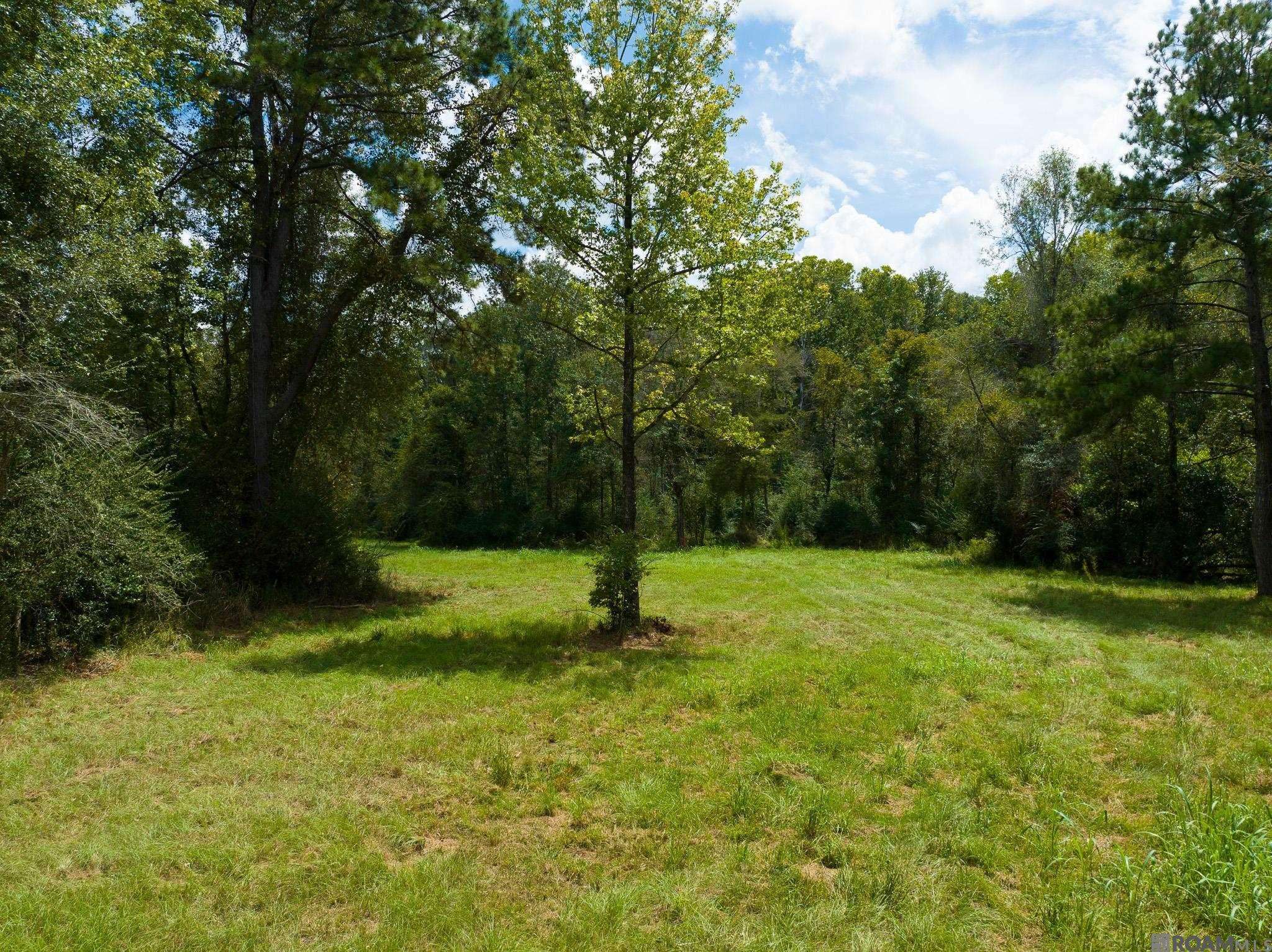 St Francisville, LA 70775,8536 Highland Rd