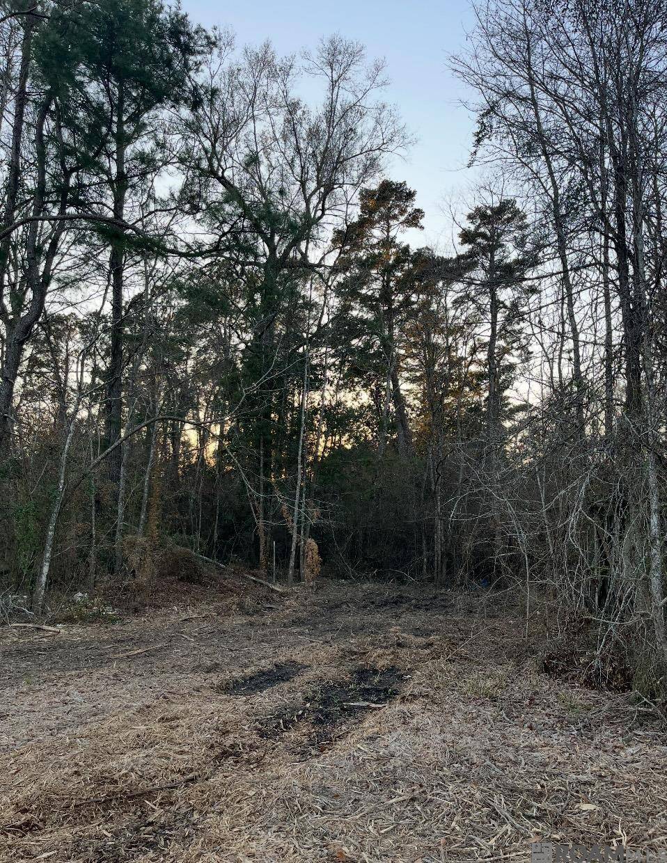 Holden, LA 70744,TBD Tract B Norred Rd