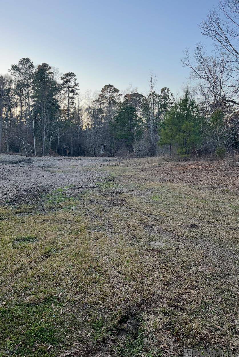 Holden, LA 70744,TBD Tract B Norred Rd