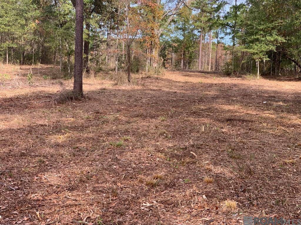 Centreville, MS 39631,LOT 5 Old Hwy 33