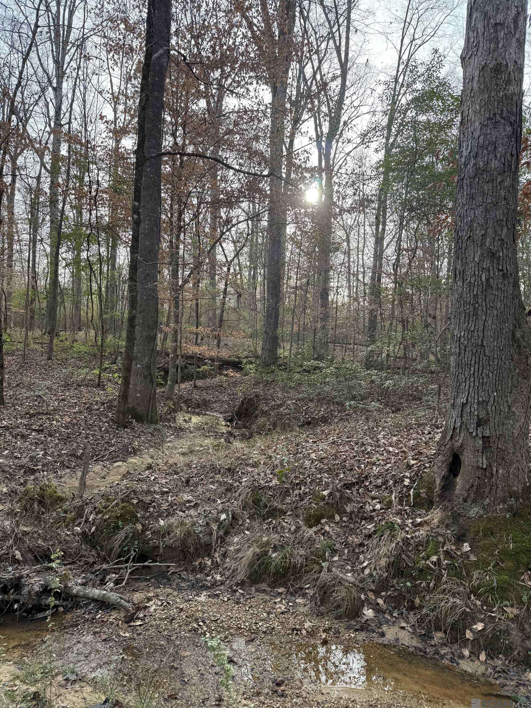 Summit, MS 39666,000 County Line Road