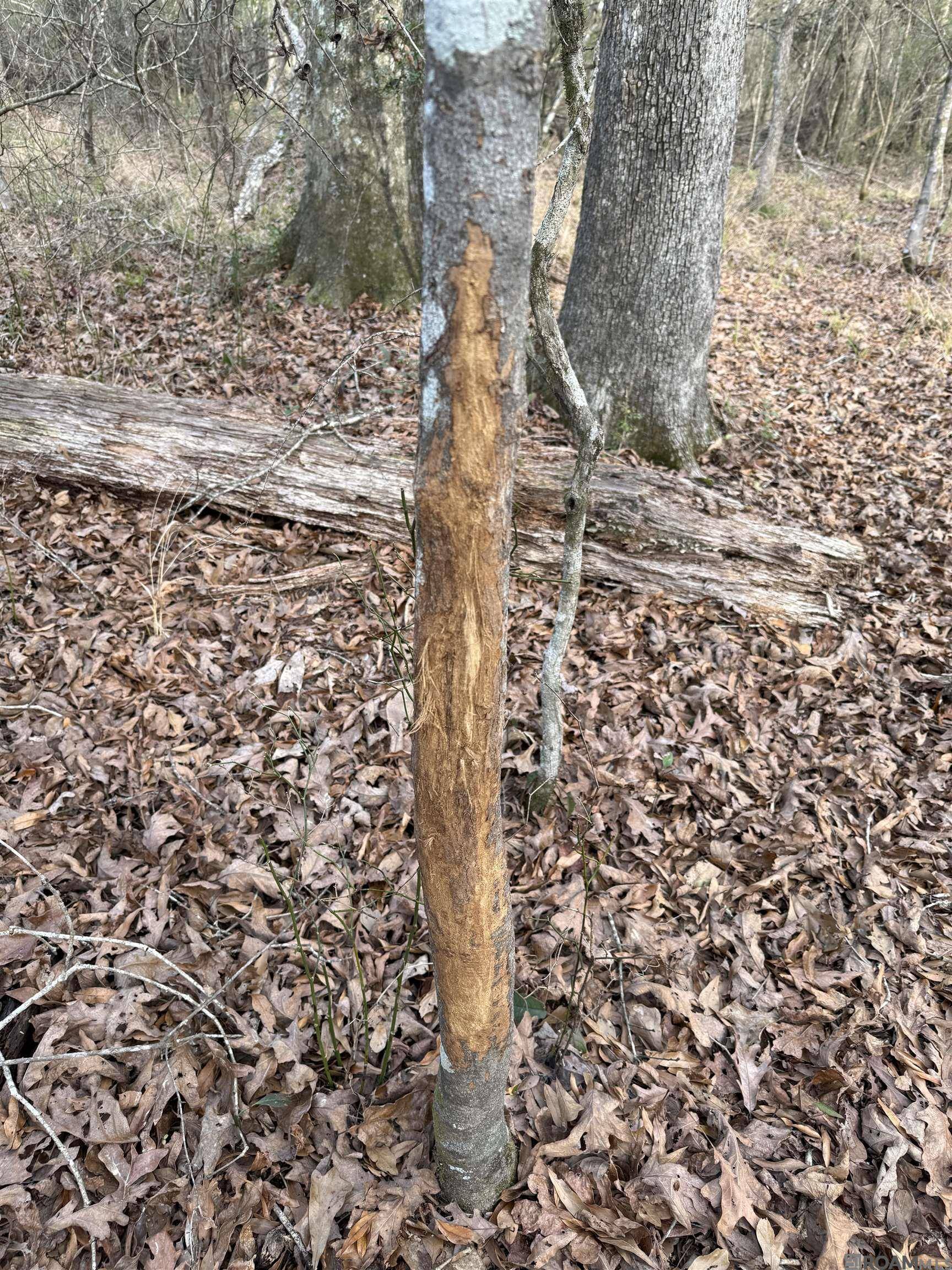 Summit, MS 39666,00 County Line Road
