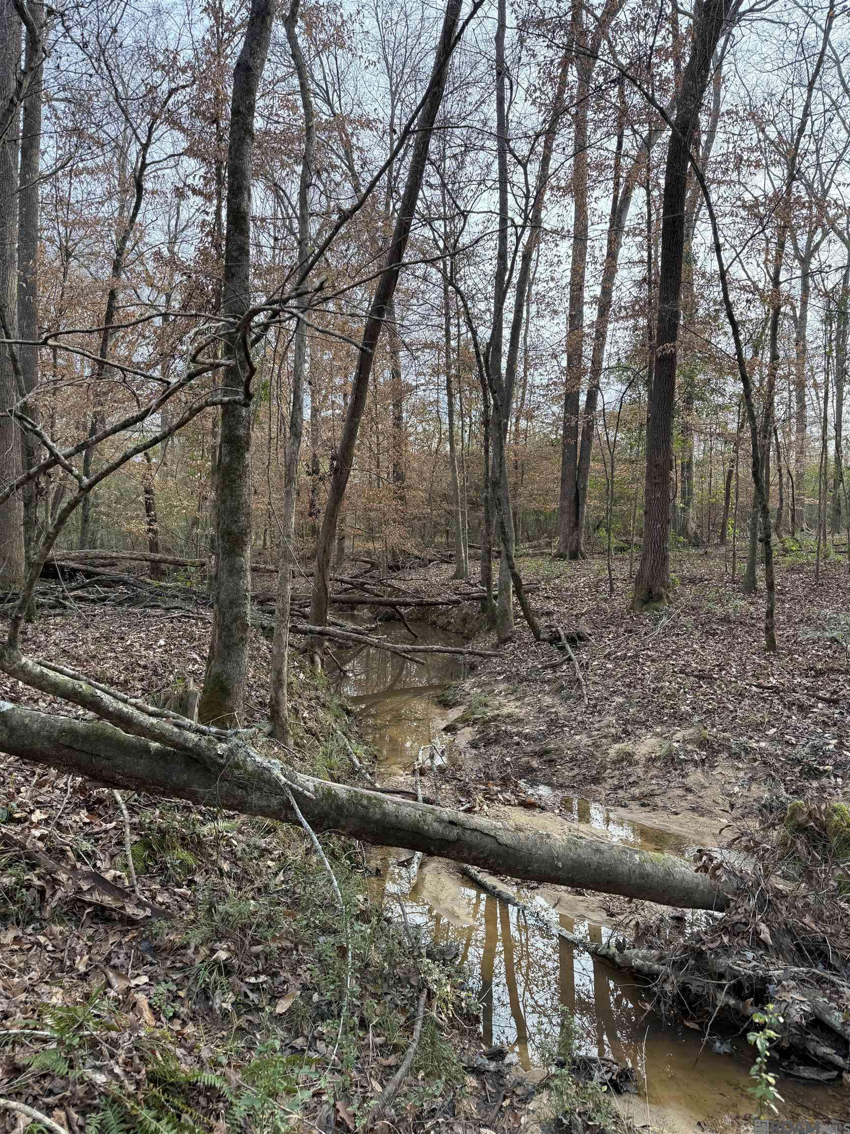 Summit, MS 39666,00 County Line Road